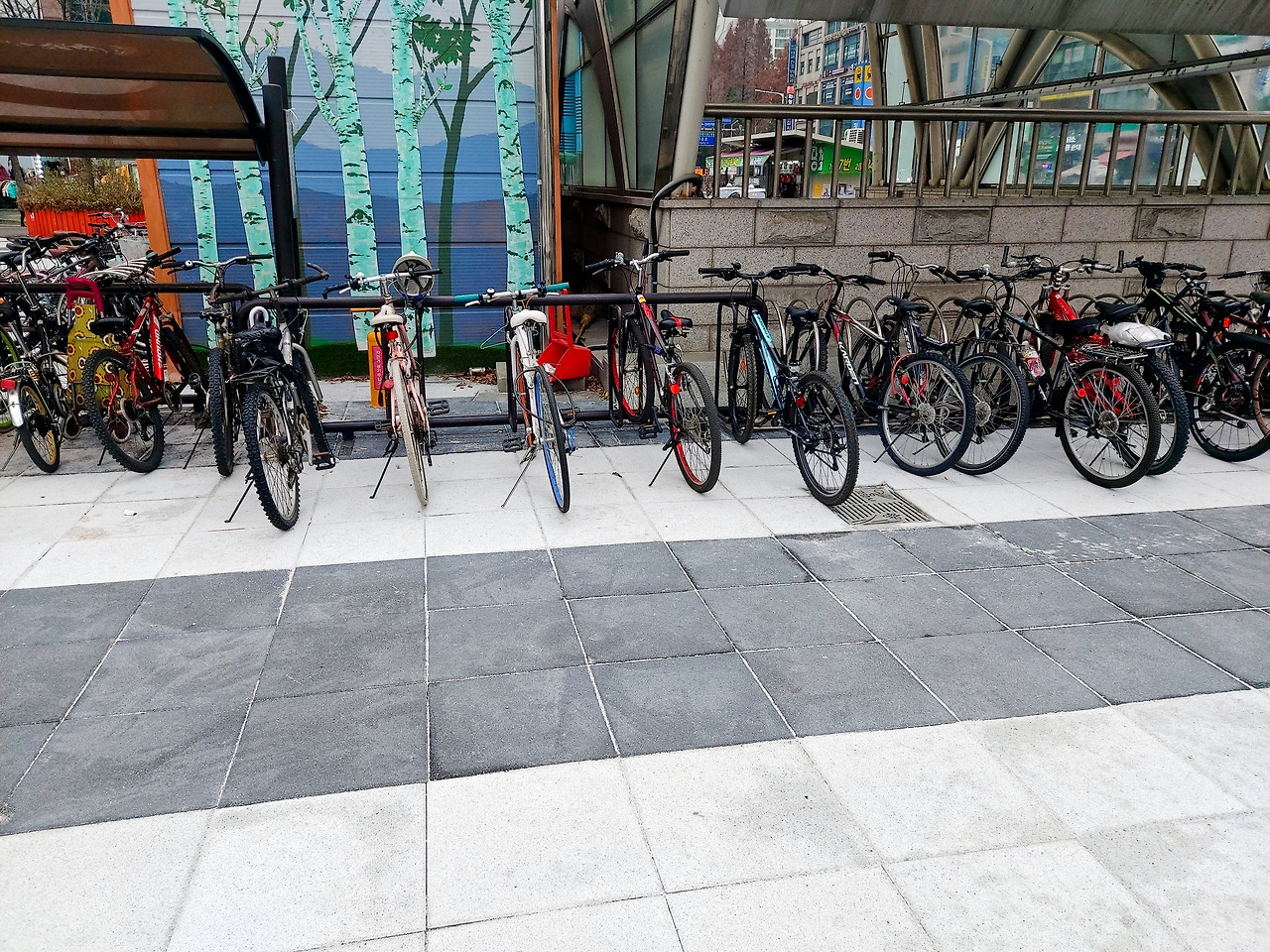 1. 20231206_121924_01.jpg