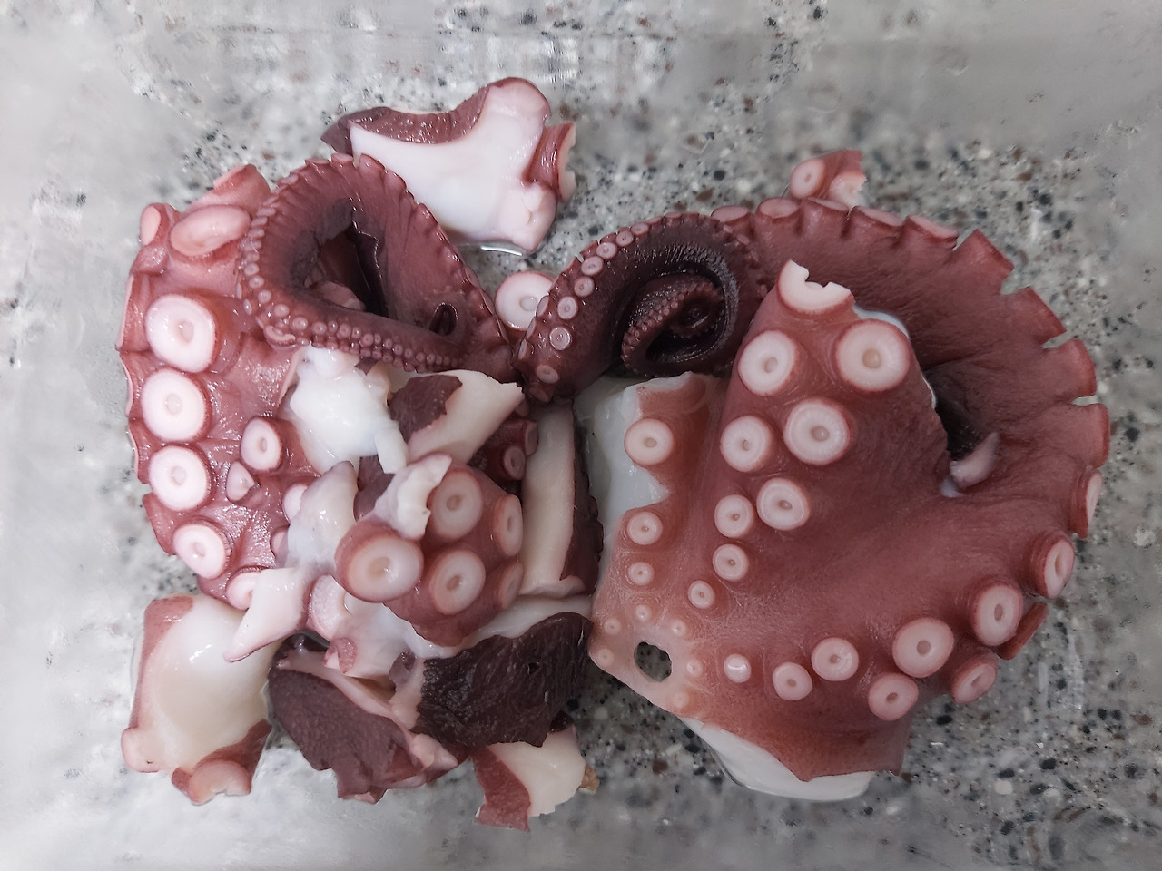 26-3. 보기만 해도 먹음직스러운 문어숙회의 다리 부분. 문어는 다릿살이 맛있다  20240917_180413.jpg