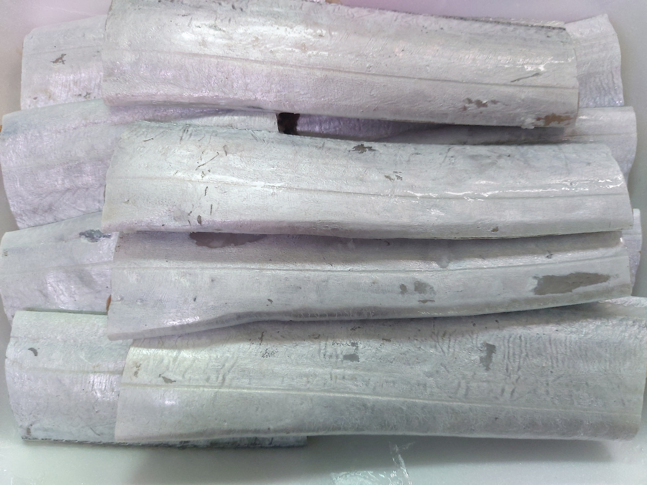 17-1. 토막낸 국산 생물 갈치. 은빛이 선명하고 살도 제대로 올랐다. 20240811_082126.jpg