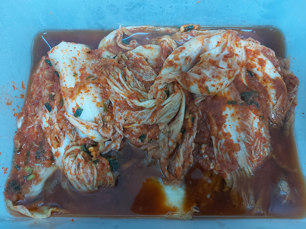 40-3. 삼겹살을 먹을 때 빠질 수 없는 김치 20240720_183152.jpg