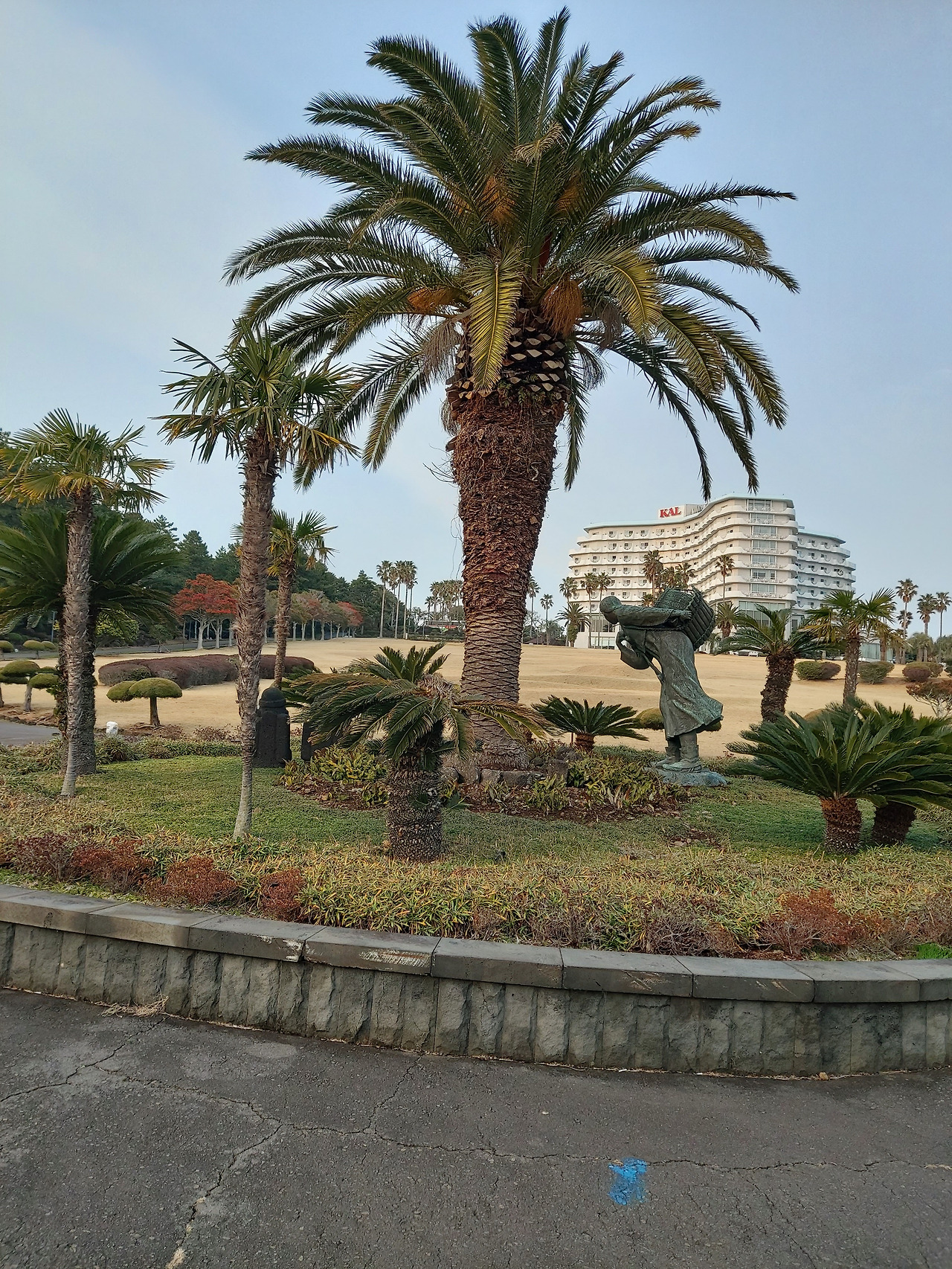 숙소 뒤 정원7.jpg