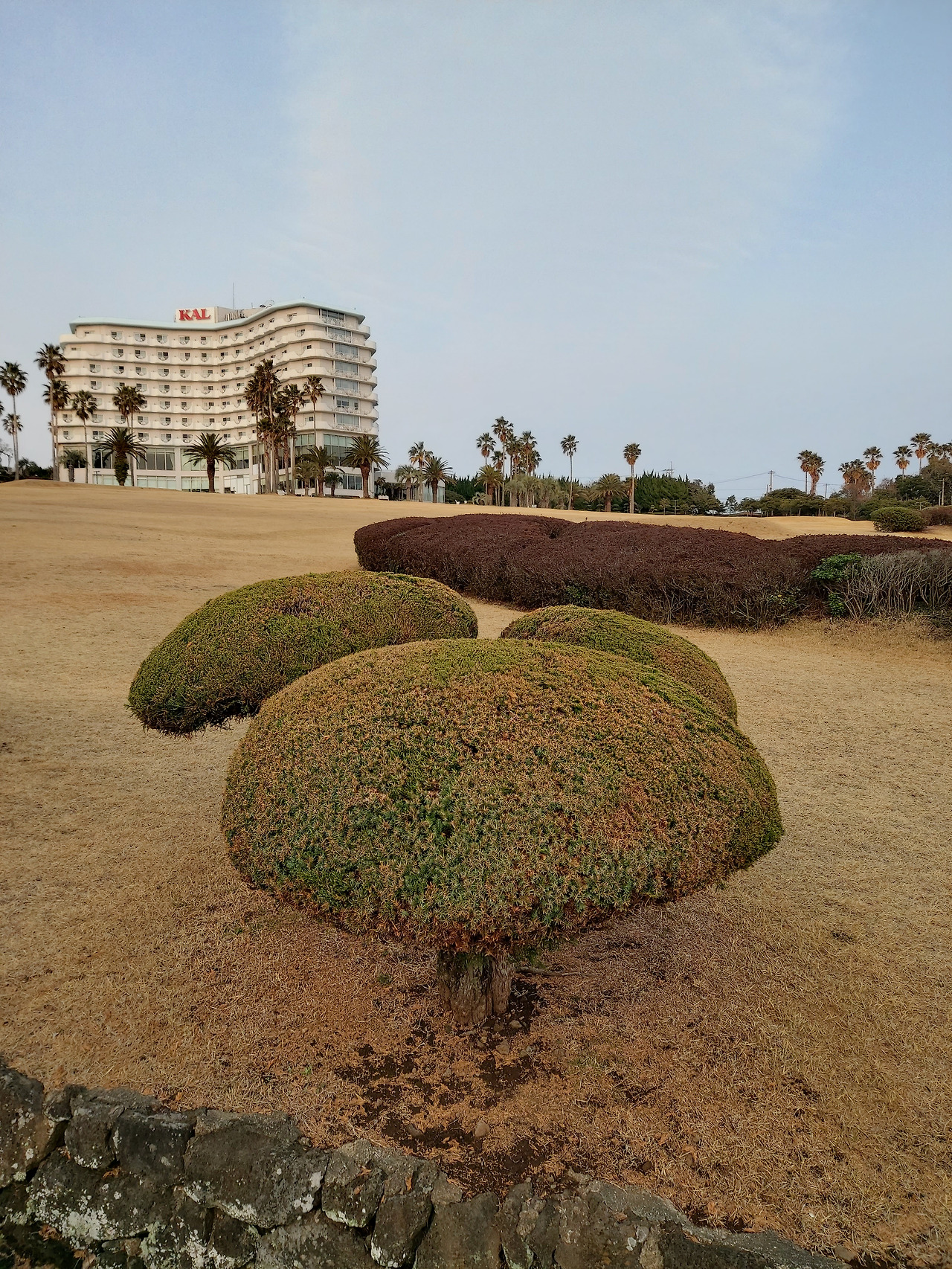 숙소 뒤 정원5.jpg