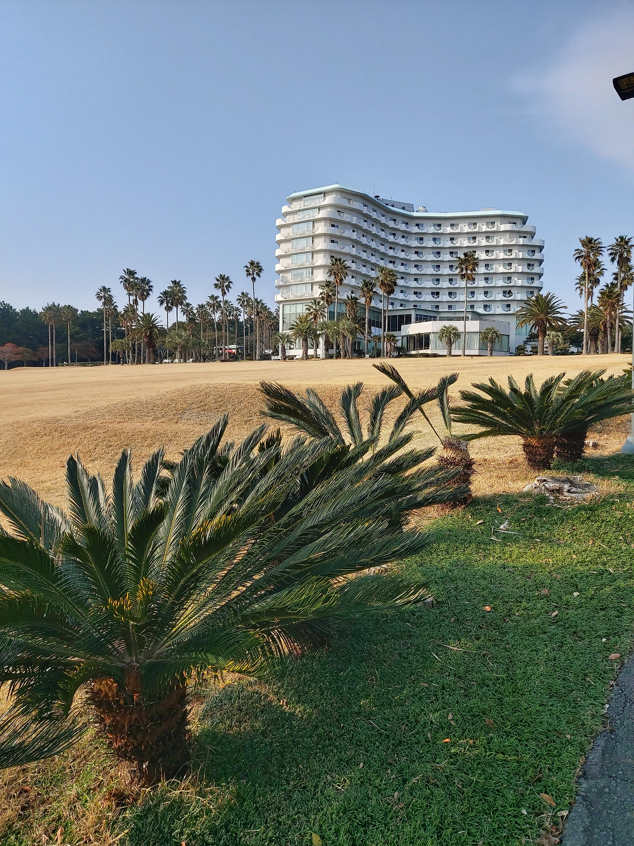 숙소 뒤 정원1.jpg