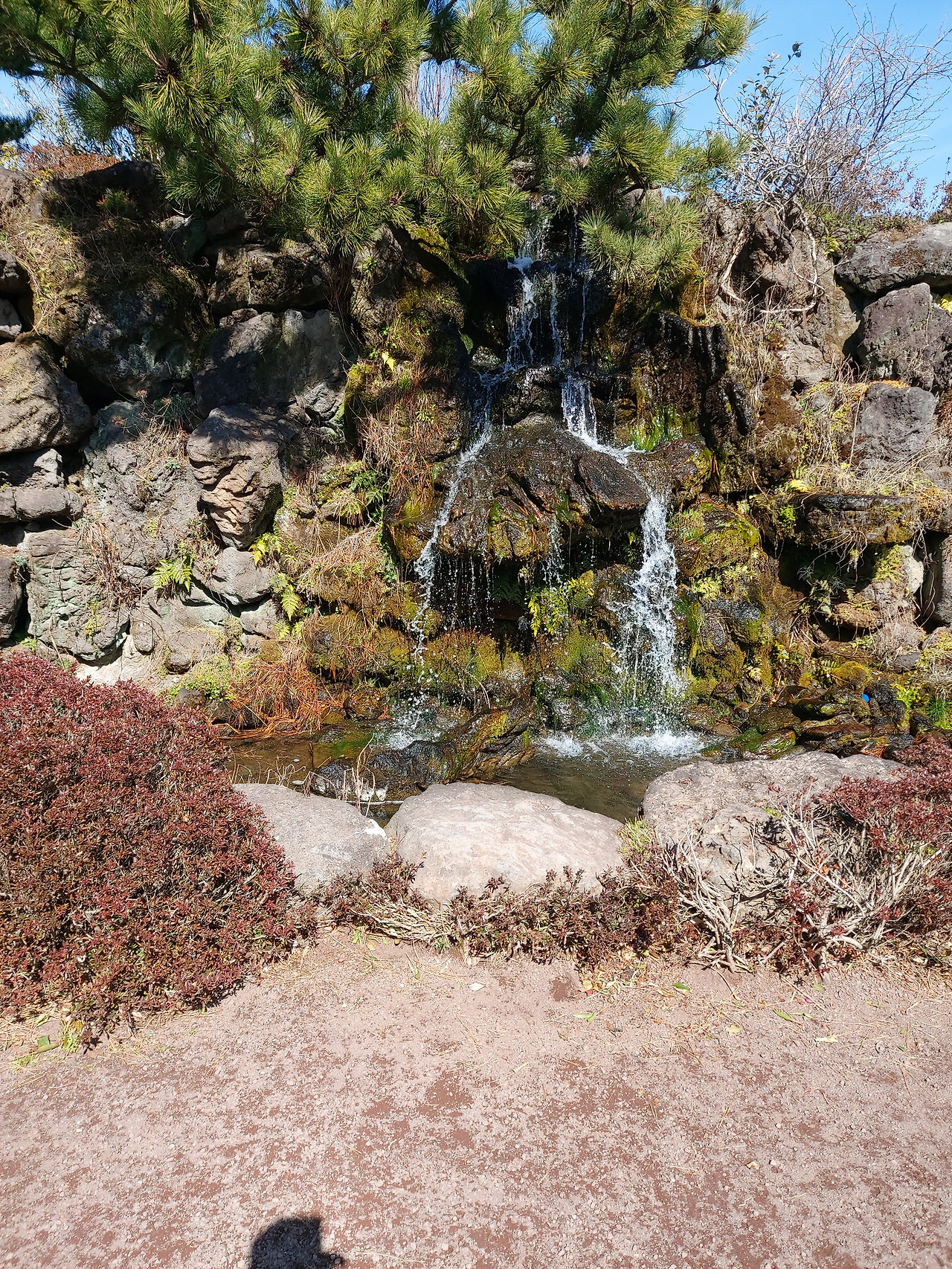 휴애리 휴양림12 20230303_110750.jpg