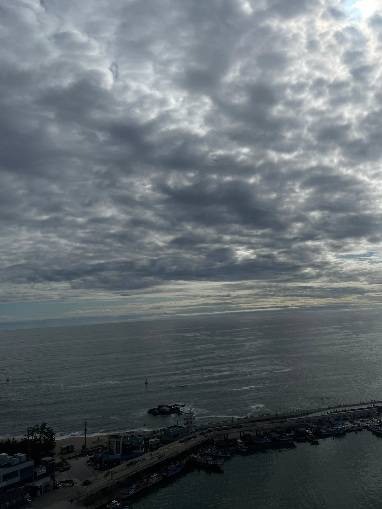 3.  1687596190696-9.jpg