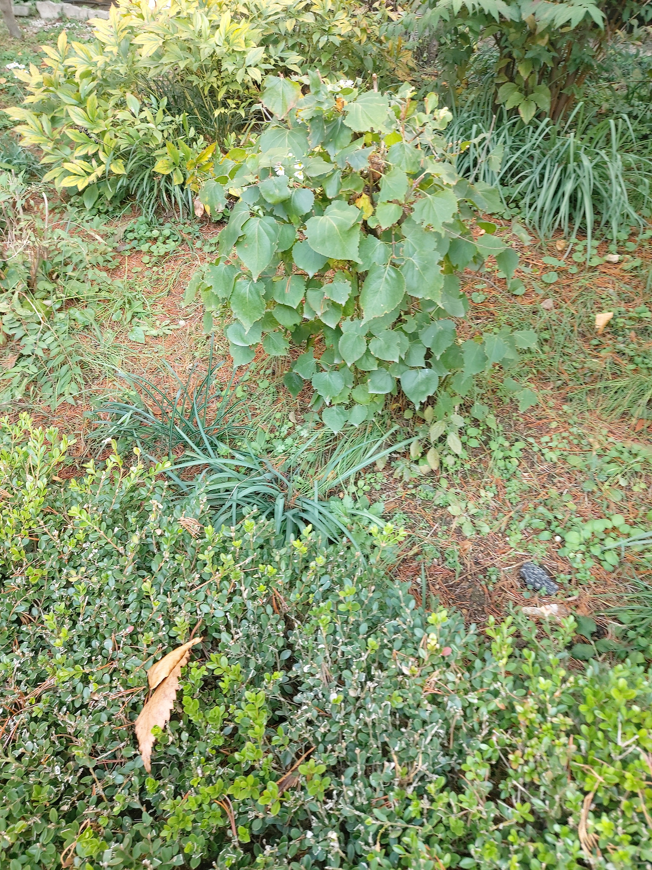 3. 20231115_101754.jpg