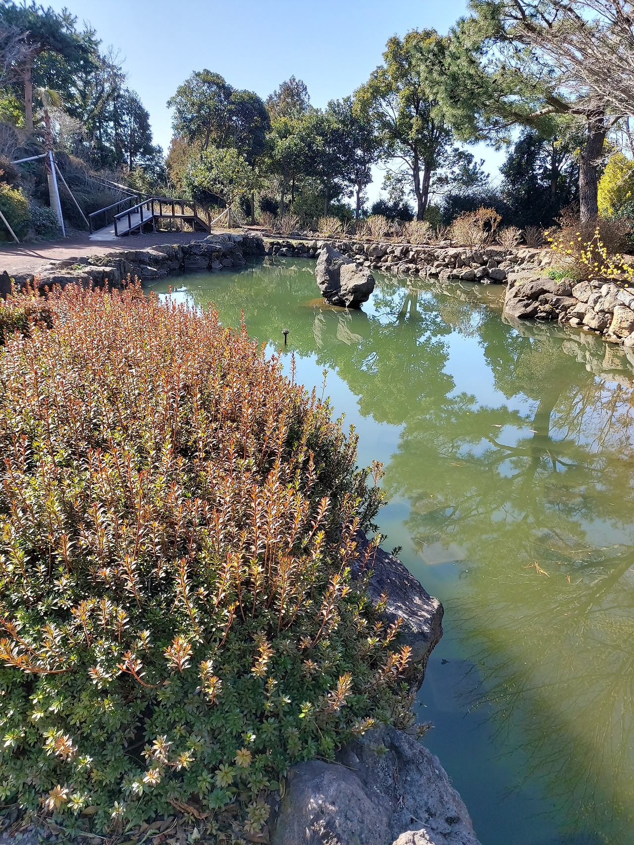 휴애리 휴양림1 20230303_104016.jpg