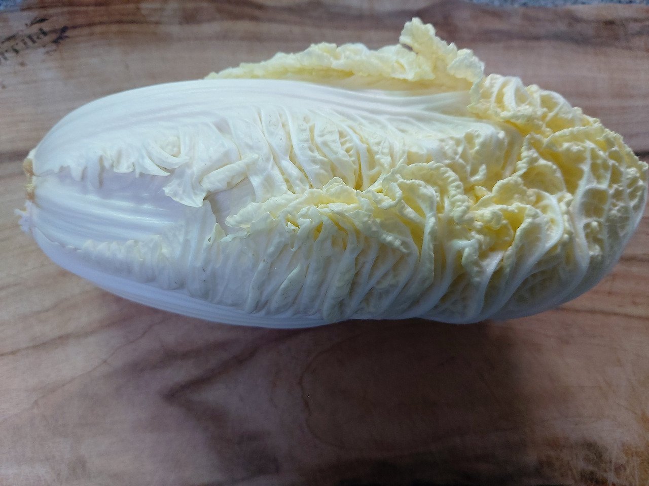 12-1. 노릇노릇한 배춧속 20240817_174141.jpg