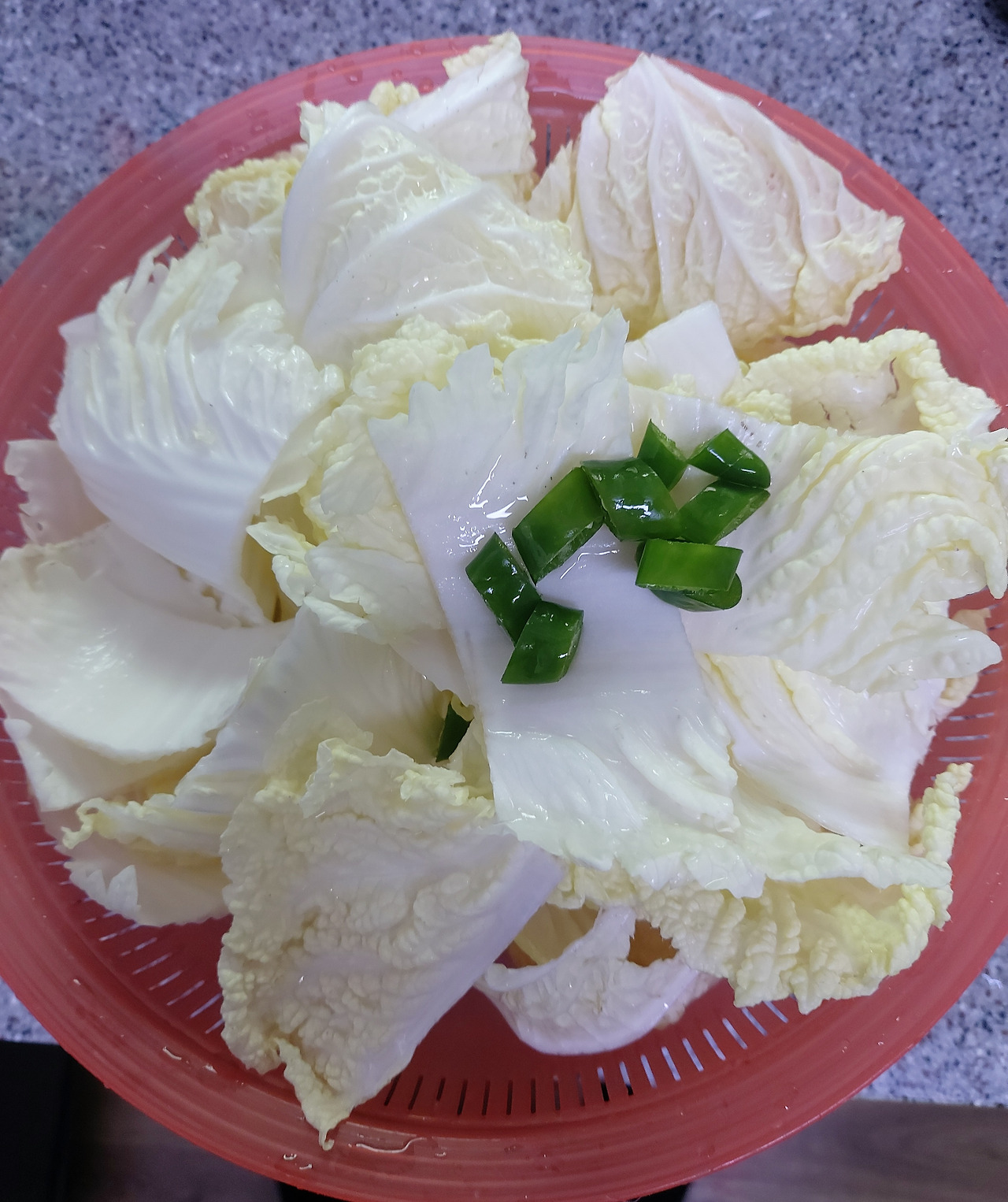 12-3. 육수가 끓을 동안 배춧속을 먹기 좋은 크기로 자르고 청양고추도 준비한다 20240817_175308.jpg