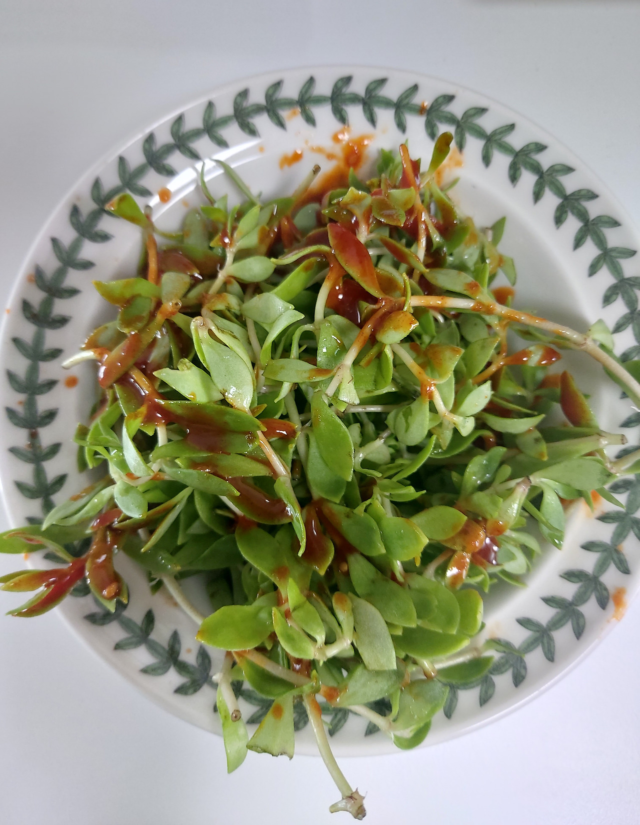 49-6. 돌나물무침 20240801_093517.jpg