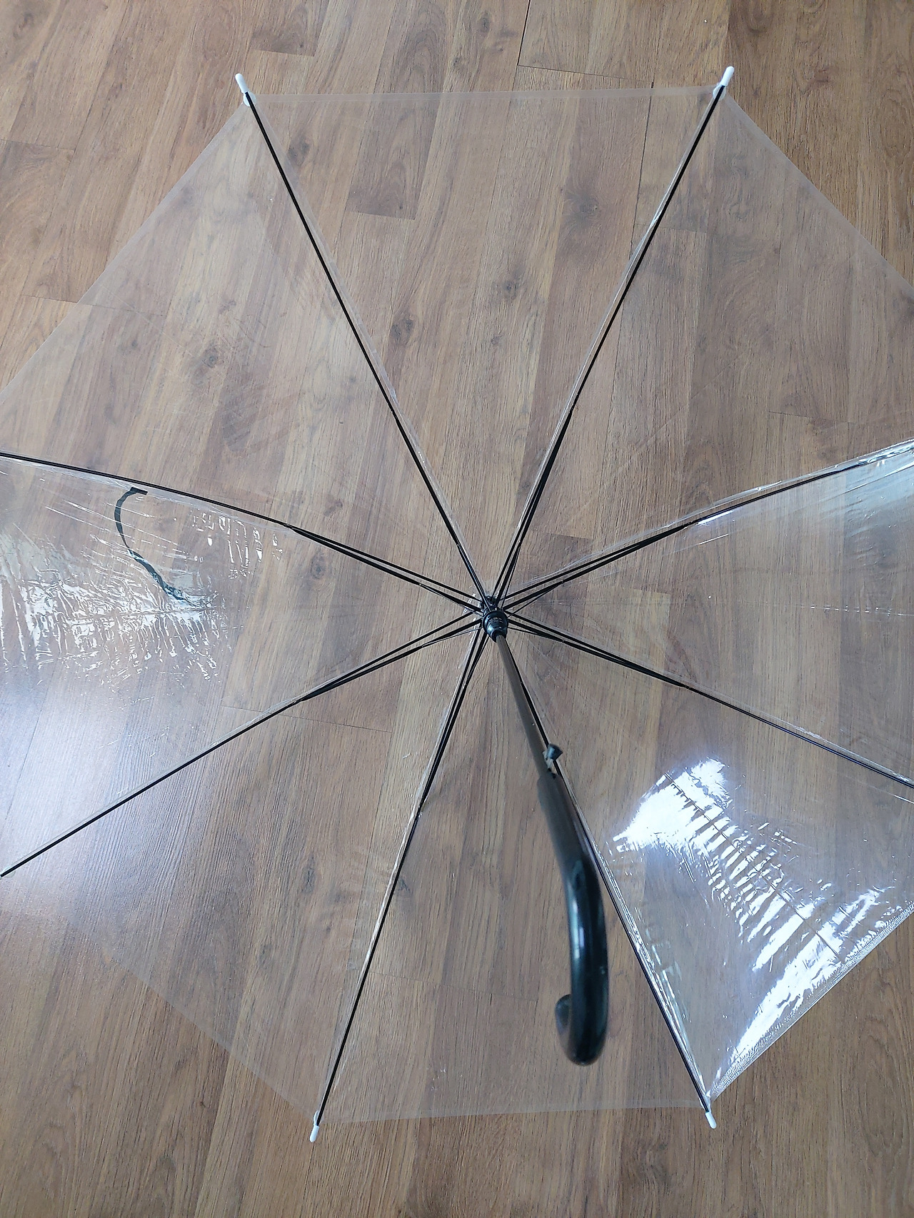 3. 20231006_092239.jpg