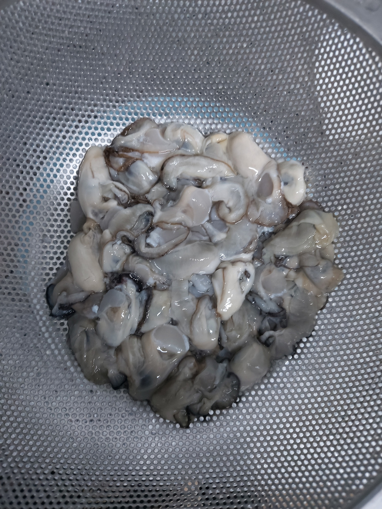 42-2. 탱글탱글하고 윤이 나는 생굴 20241102_175244.jpg