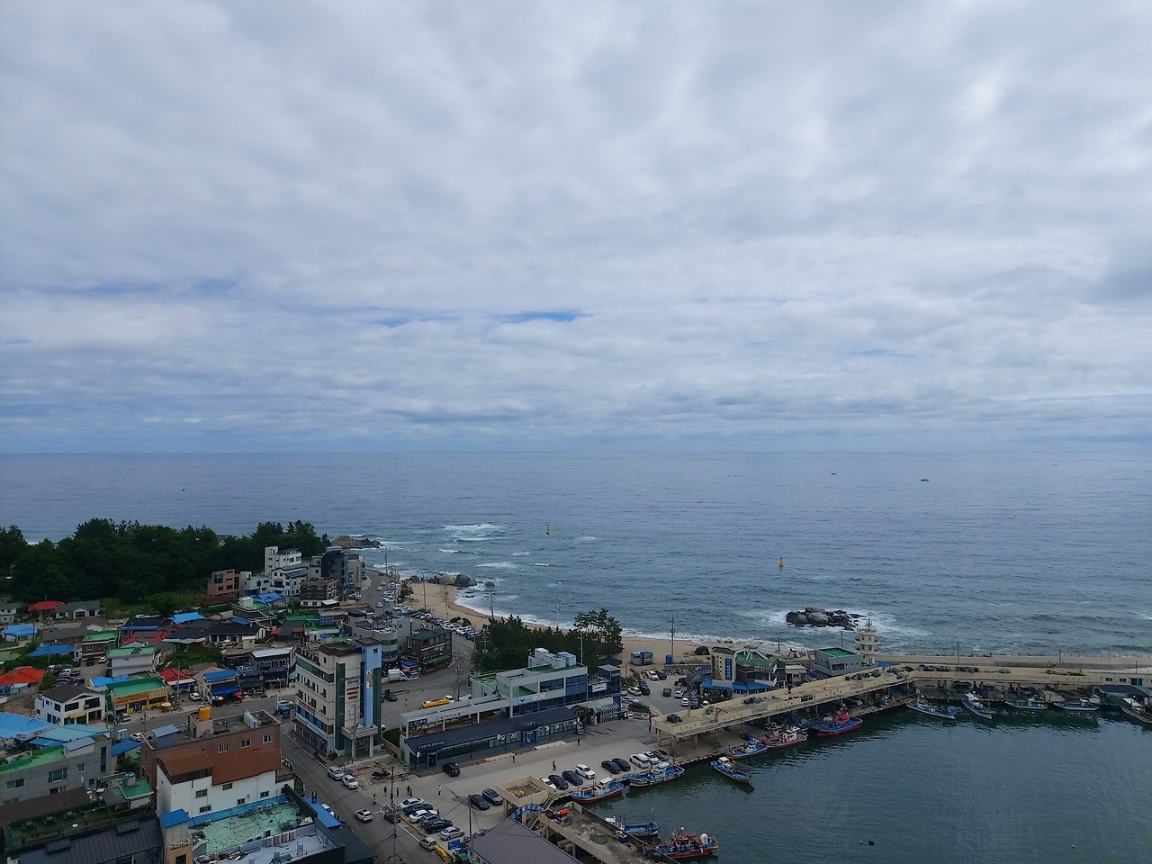 1. 20230623_100523.jpg