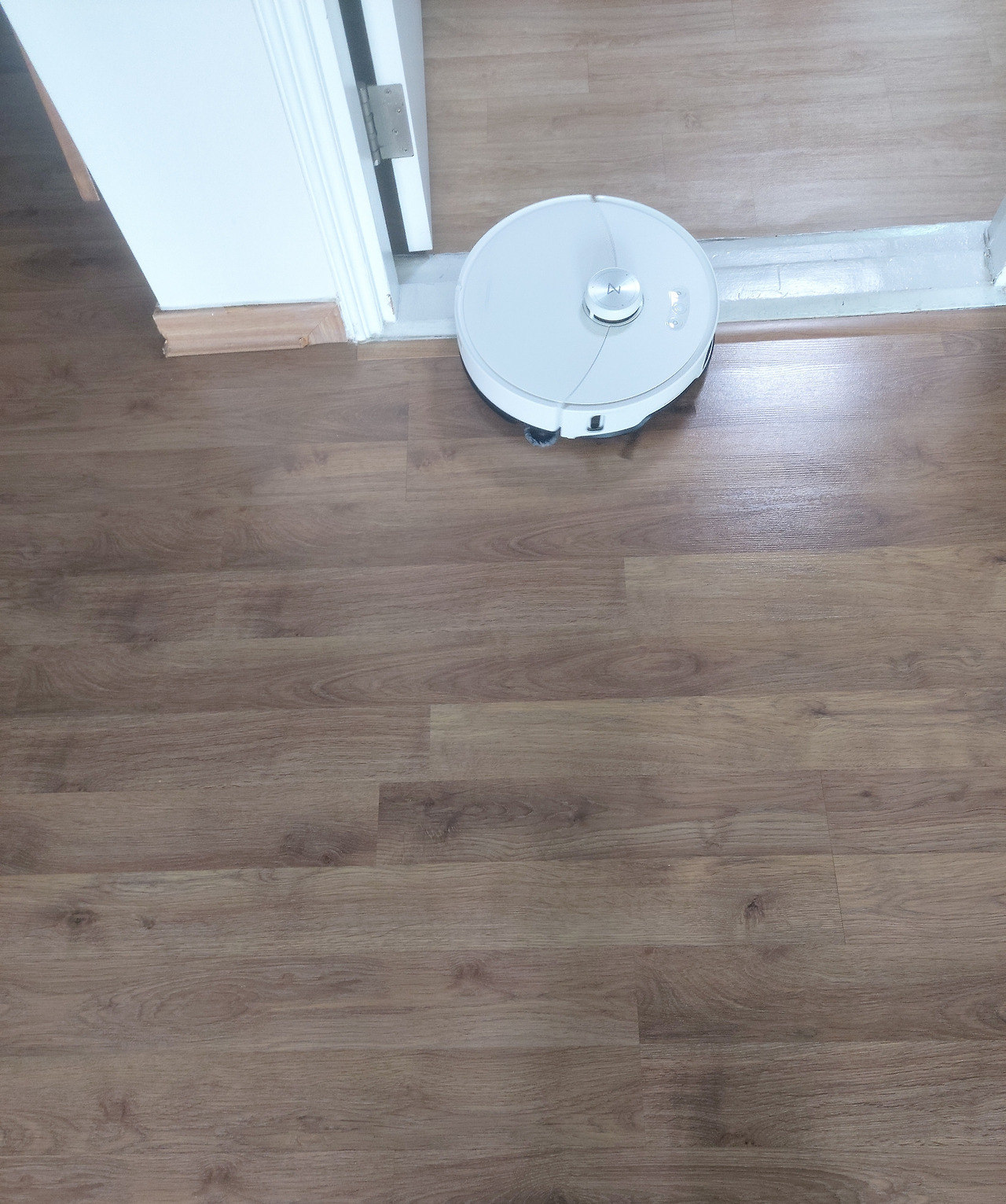 29-2. 청소에 열중인 로봇청소기20250513_091630.jpg