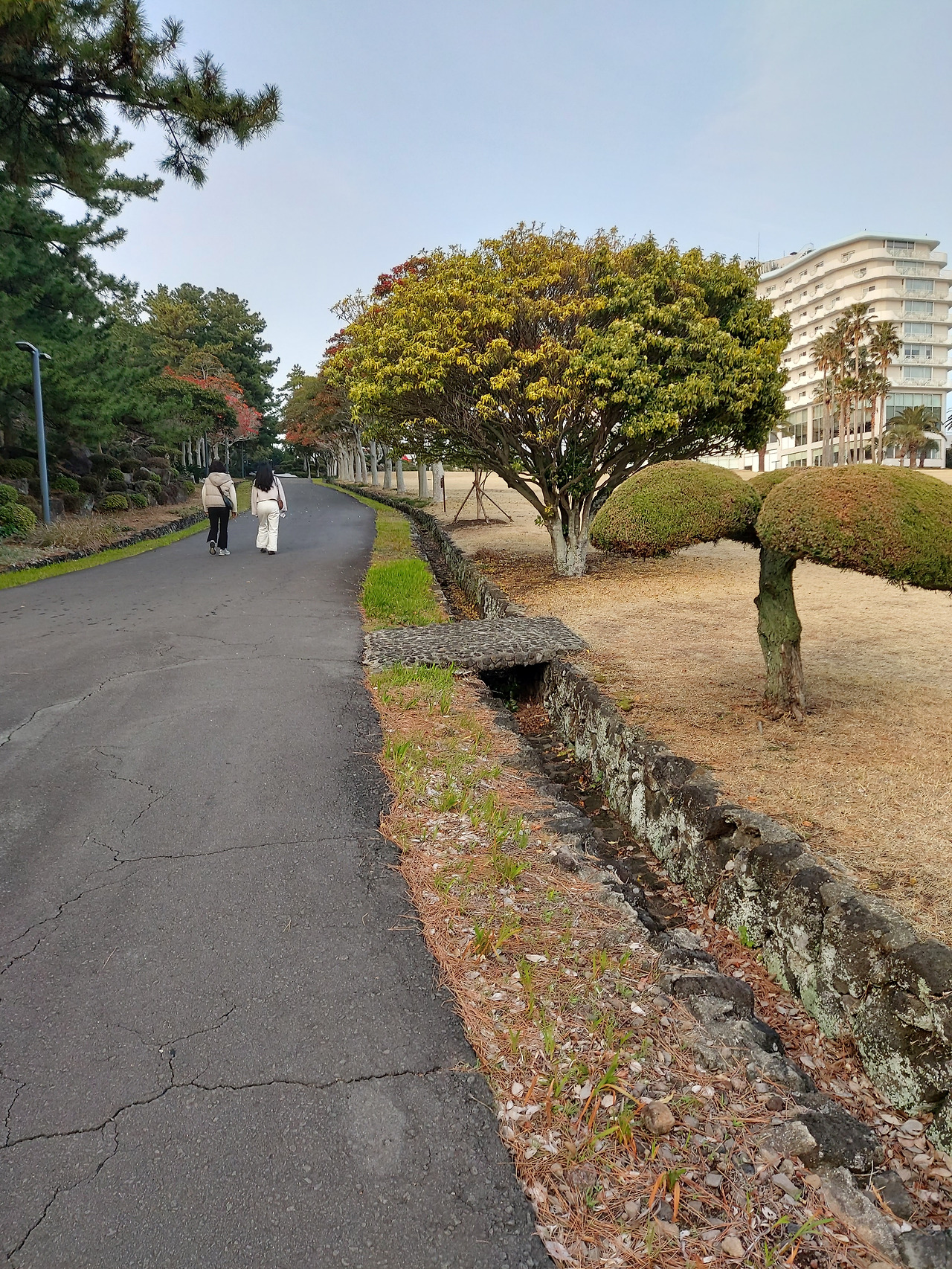 서귀포KAL호텔 주변4.jpg