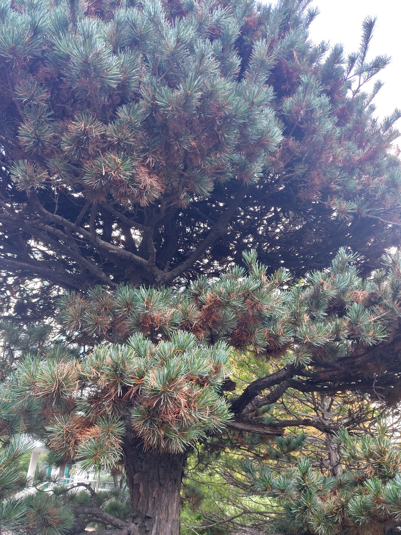 4. 20231115_102037.jpg