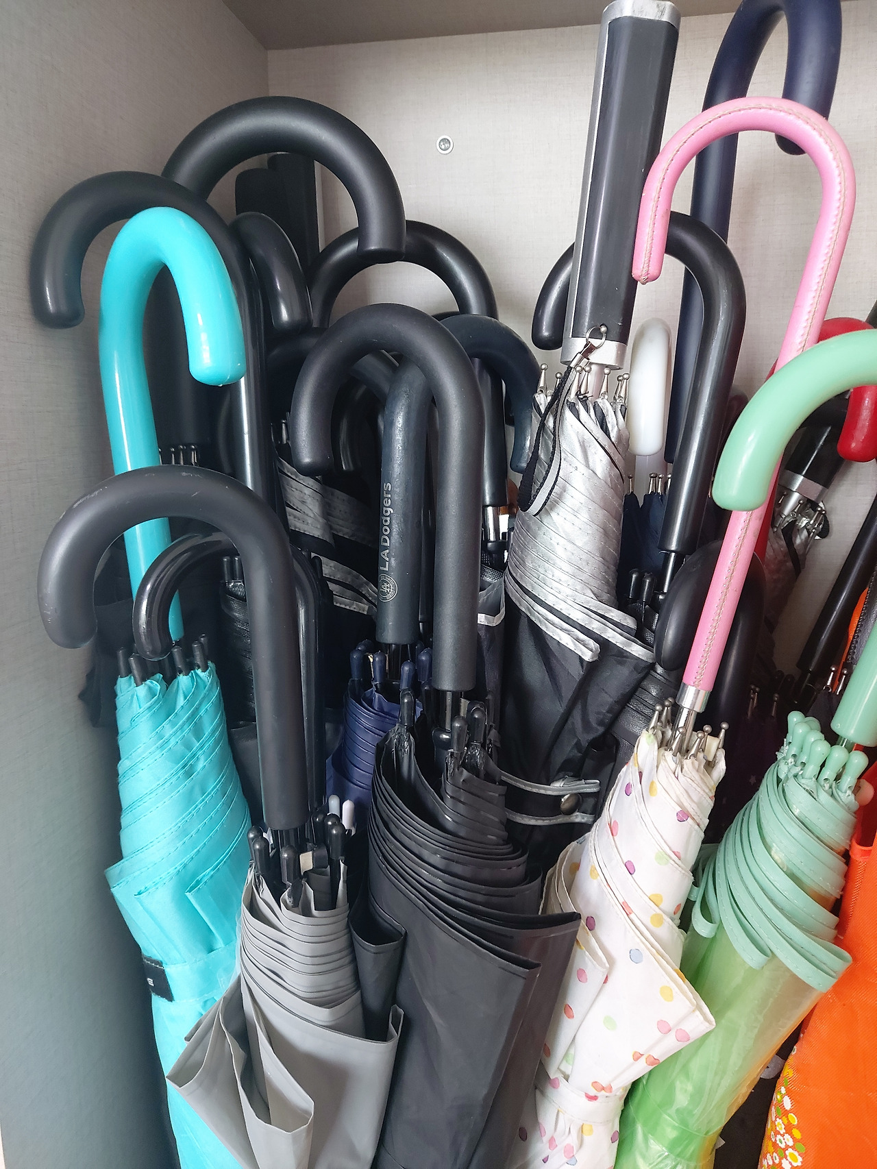 1. 20231006_092037.jpg