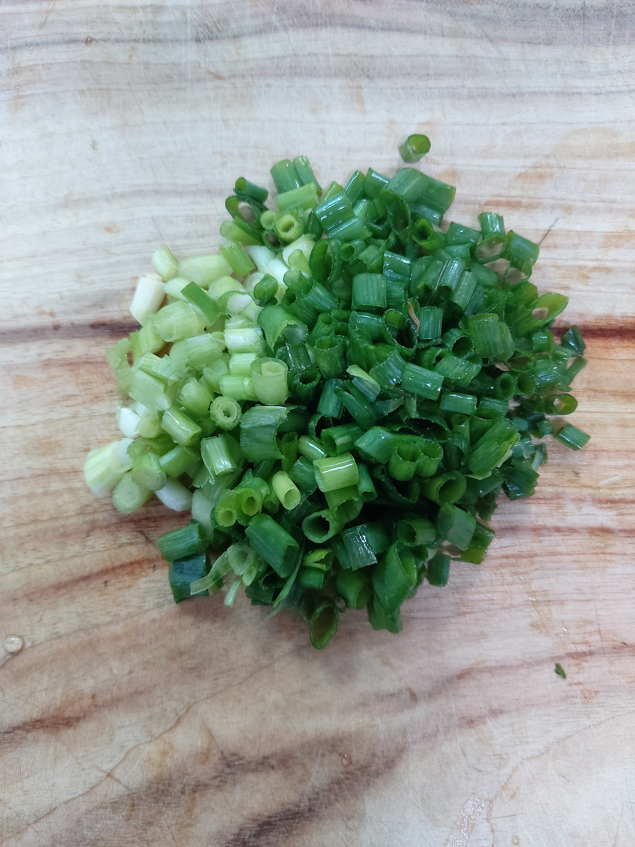10-3. 송송 썬 대파 20240720_082456.jpg