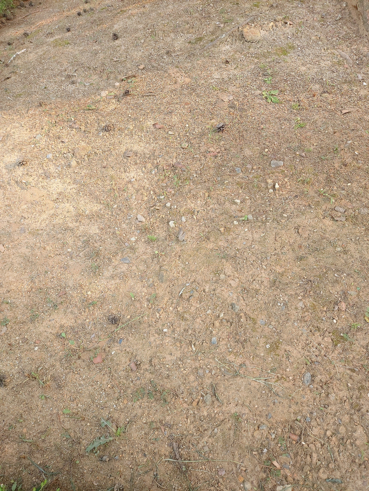 한옥의 추억 27. 만병통치 빨간 약 2. 20230818_165741.jpg