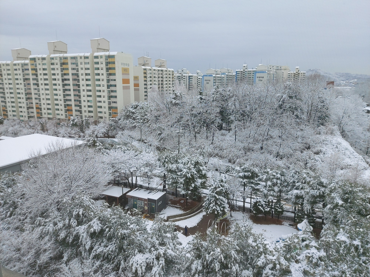 창밖의 설국, 창밖으로 펼쳐진 새하얀 눈의 세상 20240222_102845.jpg