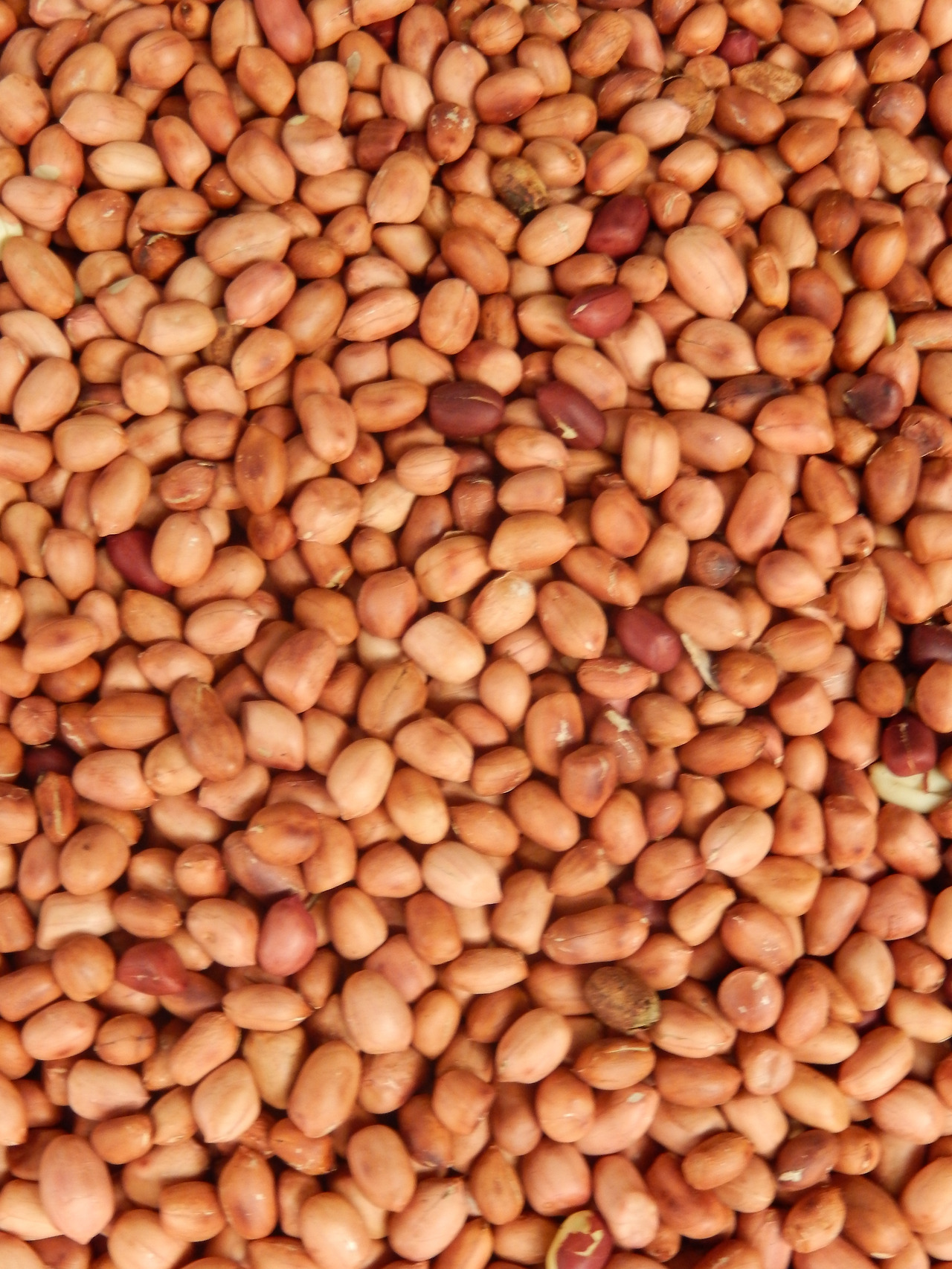 맥주 안주의 대명사 볶음 땅콩.jpg