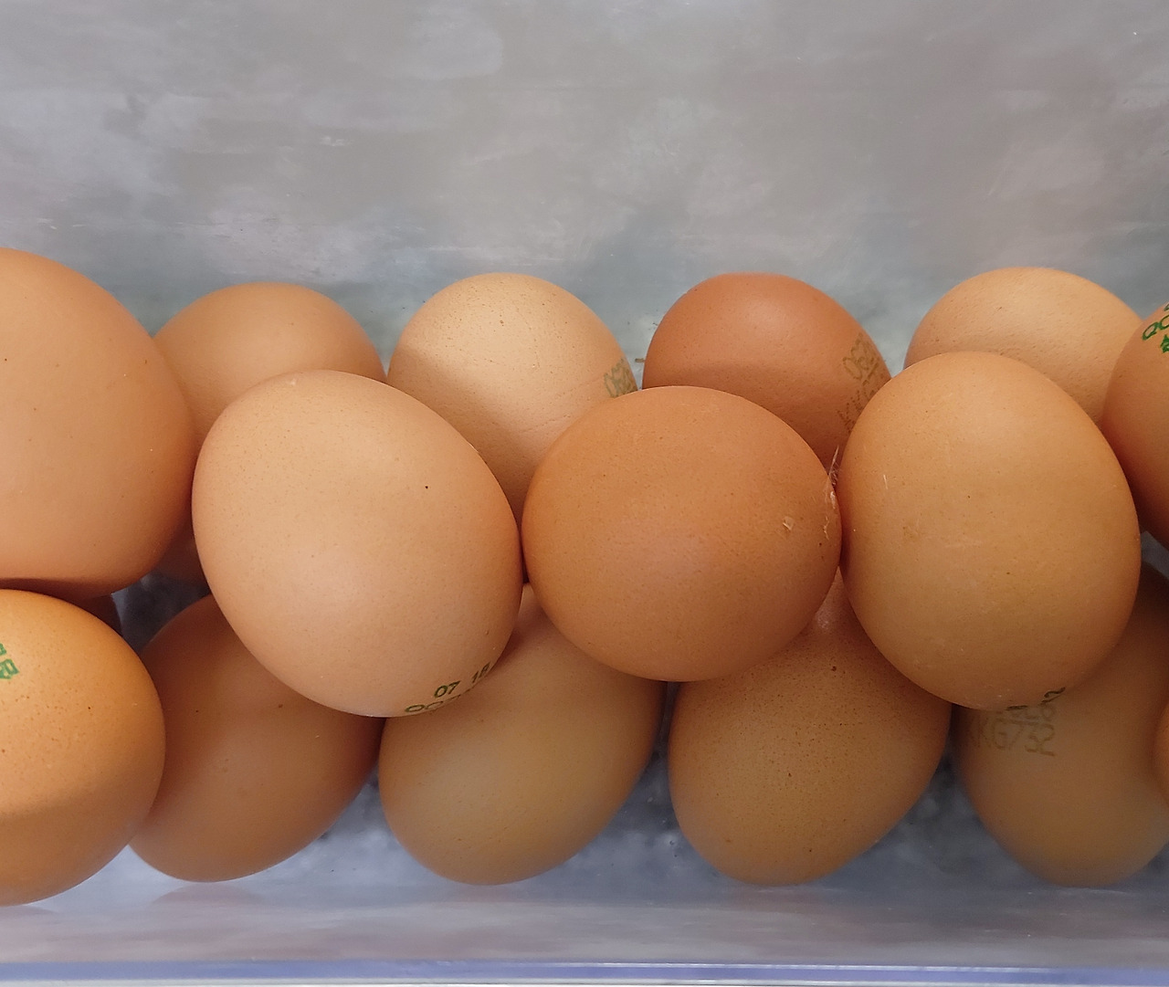 10-0. 날달걀을 먹고 트림하면 비릿한 냄새가 난다 20240801_092555.jpg