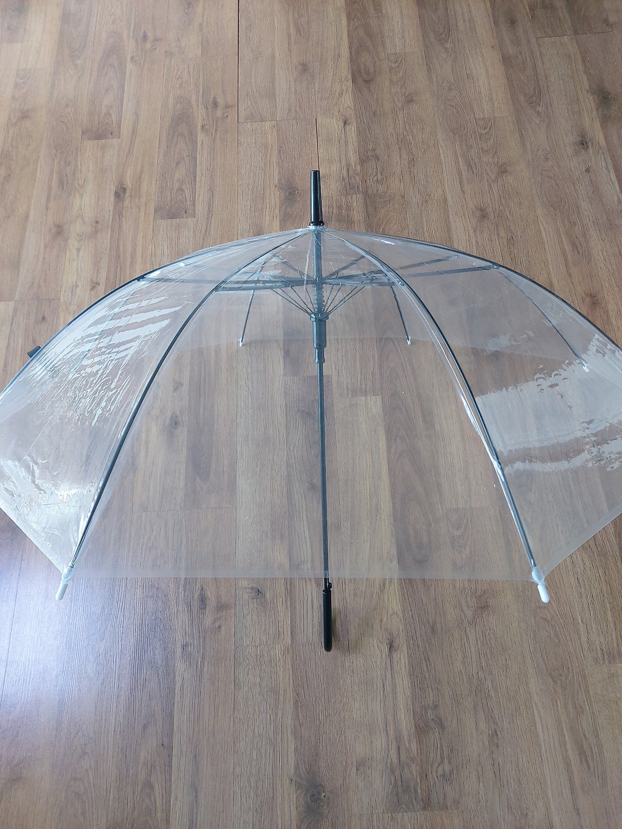 2. 20231006_092206.jpg