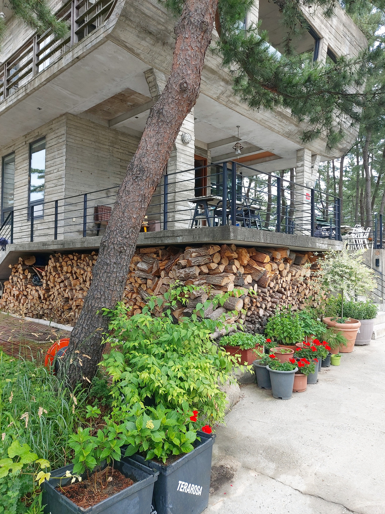 3. 20230623_111110.jpg