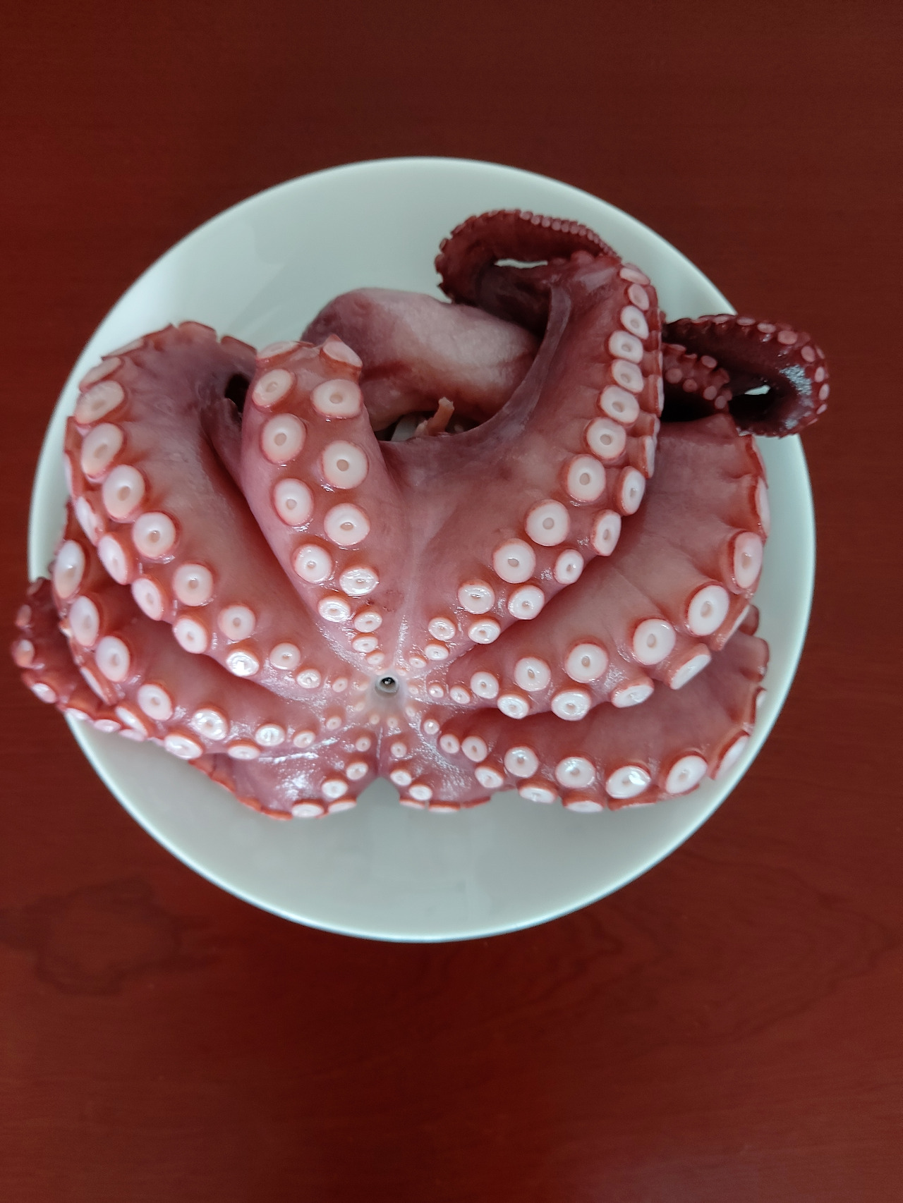 26-1. 통째로 삶은 문어 한 마리 20240917_095500.jpg