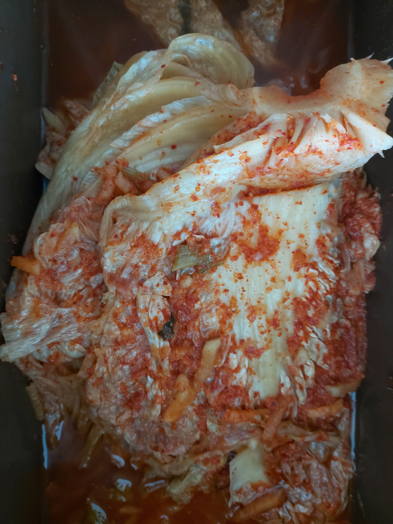 신김치.  20230725_121704.jpg