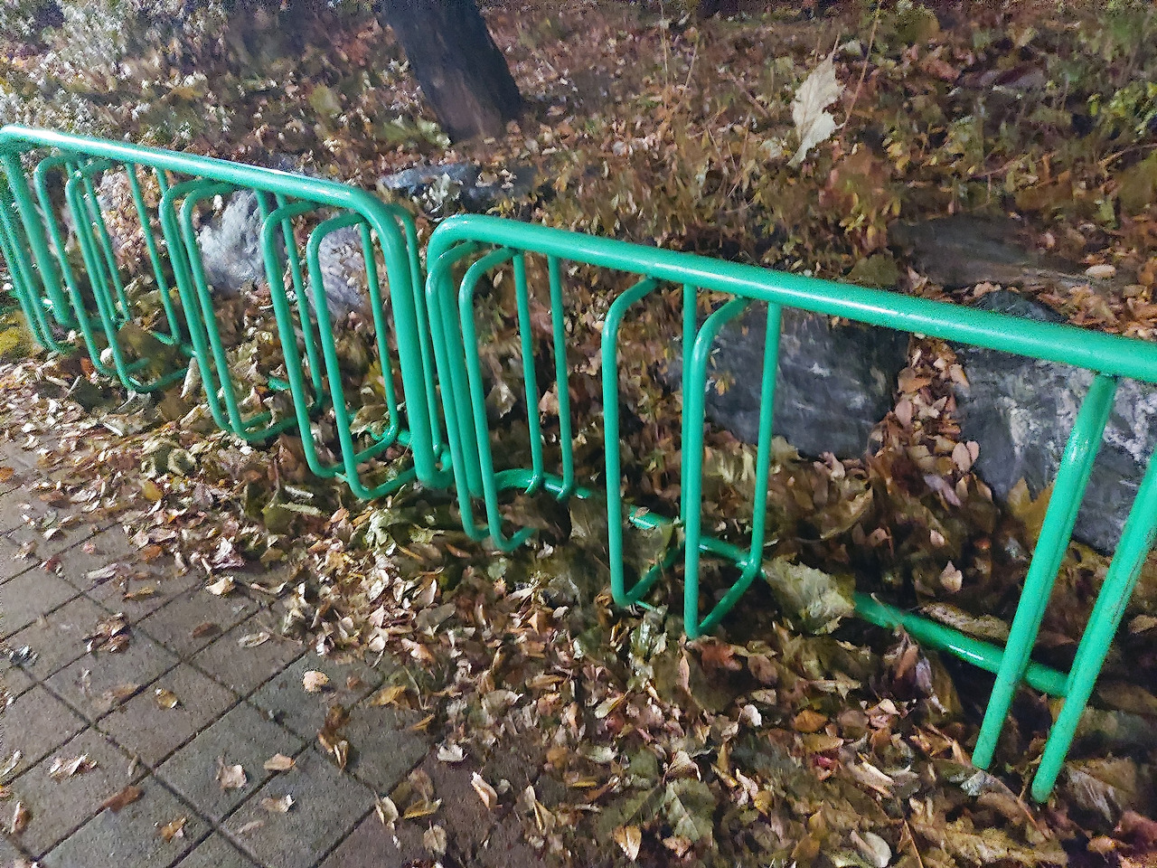 4. 20231206_200543.jpg