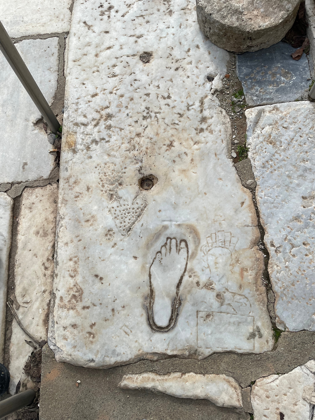 P20220130_131914917_BA9D6EF0-1FA7-4FED-B065-CF9C14185BC3 (1).jpg