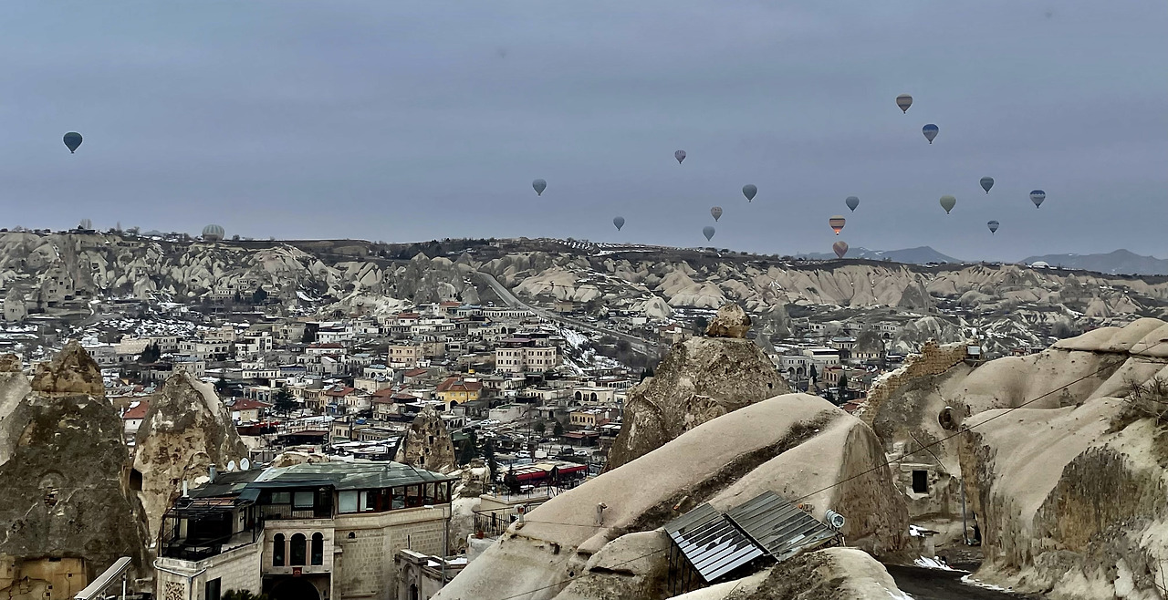 P20220215_135937443_C60D4DE7-EA8E-4FC6-A4B9-35FBA9346677 (1).jpg