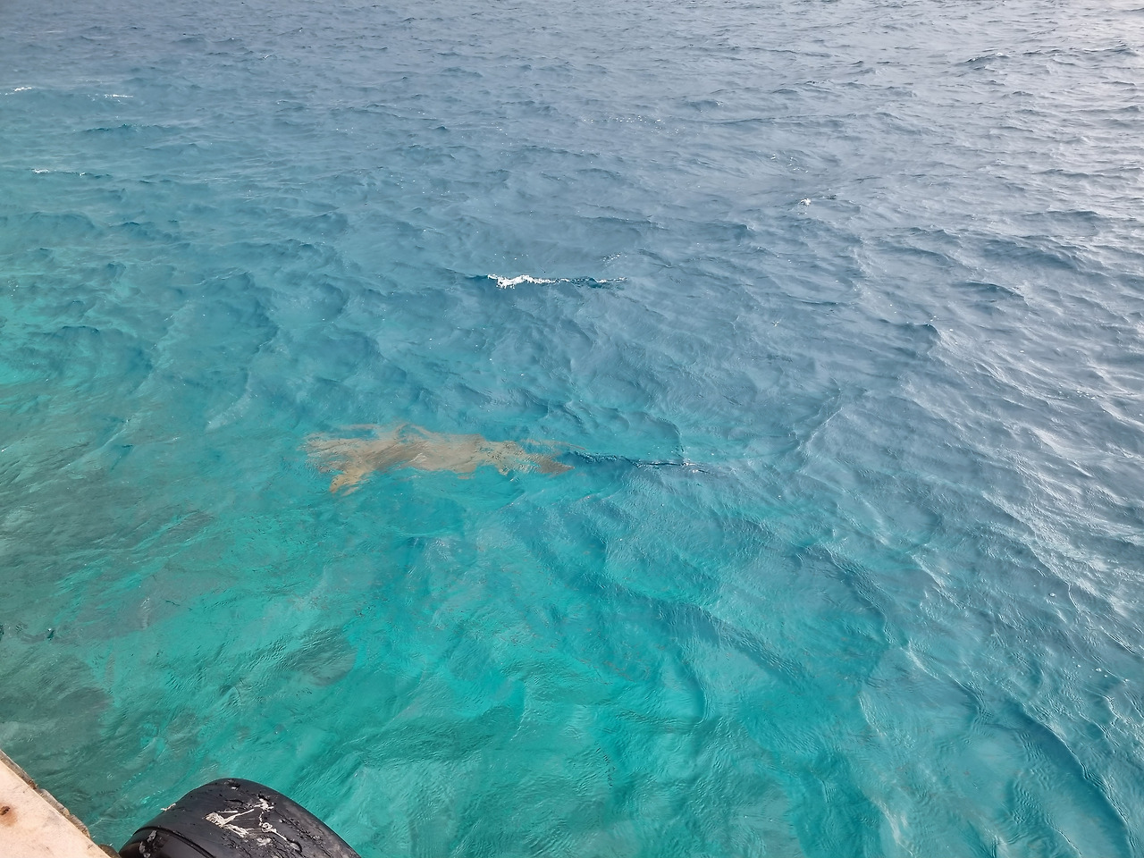 KakaoTalk_20220806_114702967_10 (1).jpg