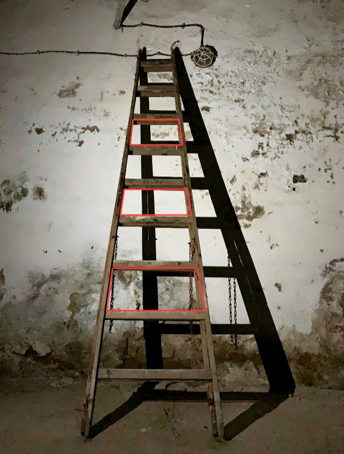 수학 삽화_240713_114700_2.jpg