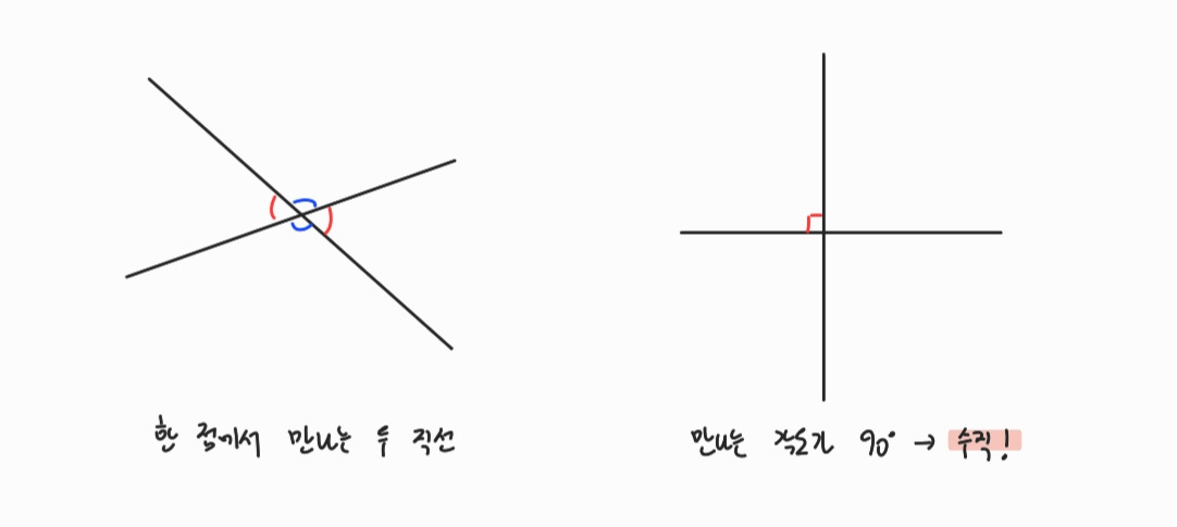 수학 삽화_240713_114700_1.jpg