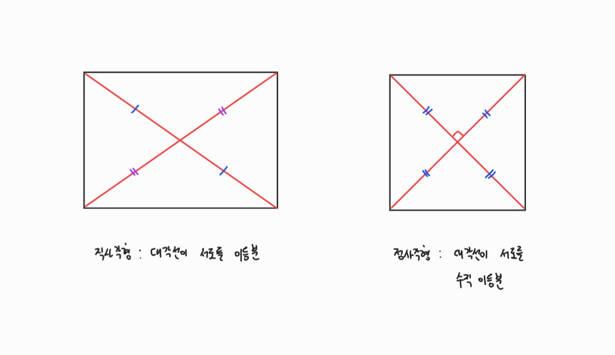 수학 삽화_240713_114700_4.jpg