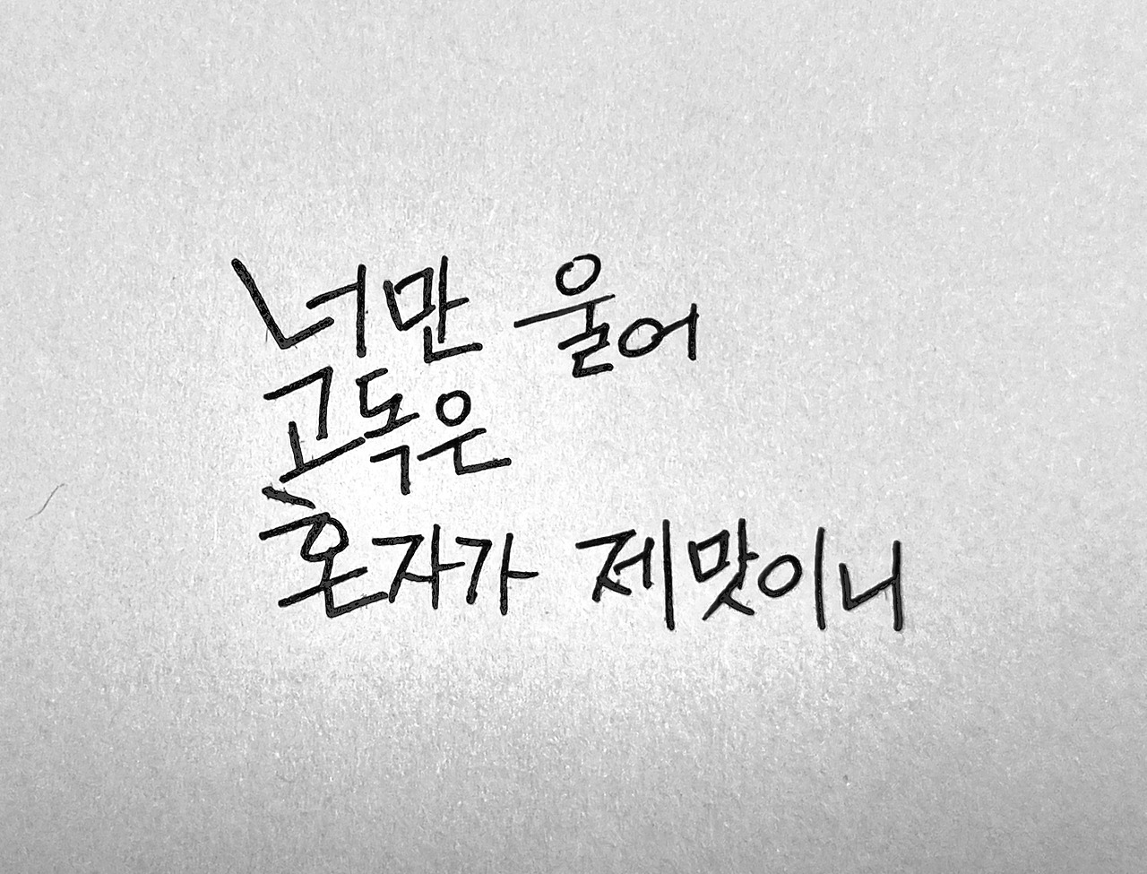 귀뚜라미 귀뚜라미 
