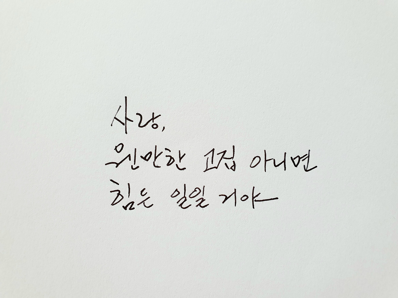 사랑