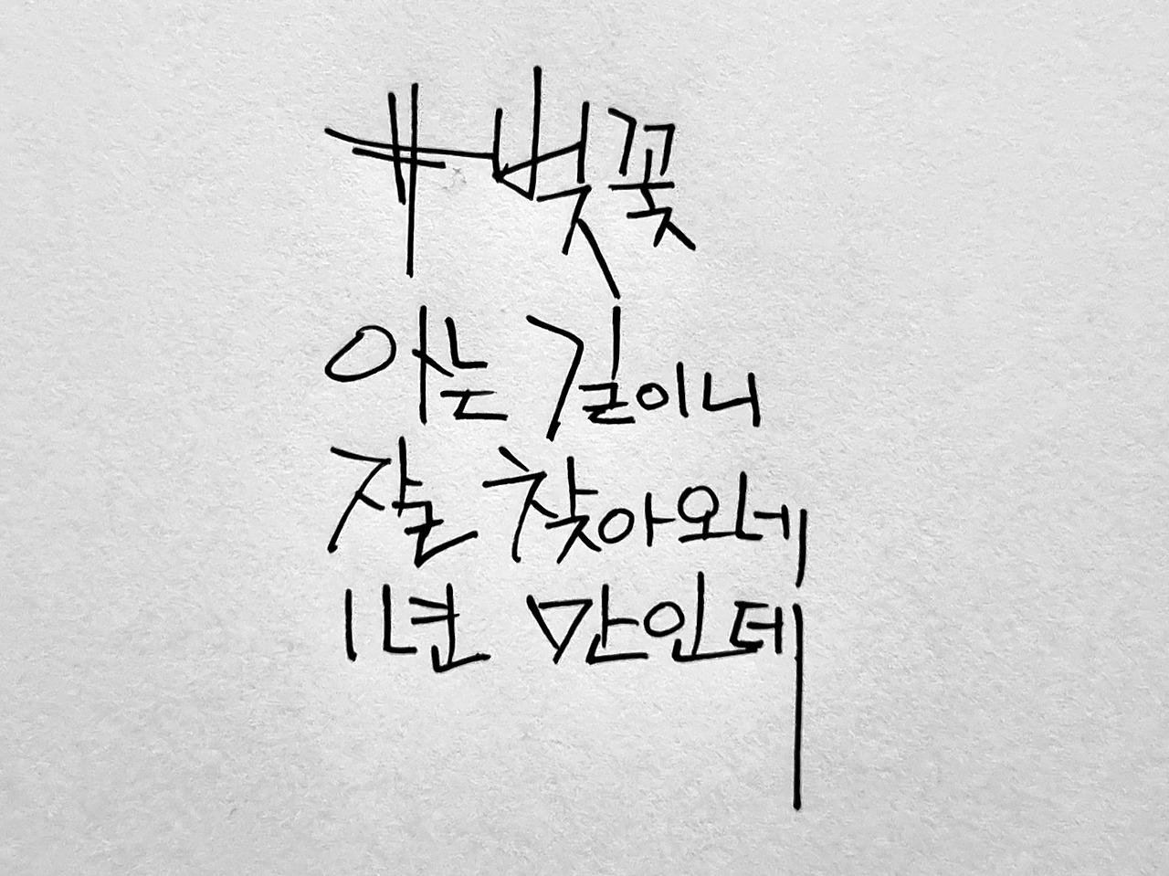 벚꽃