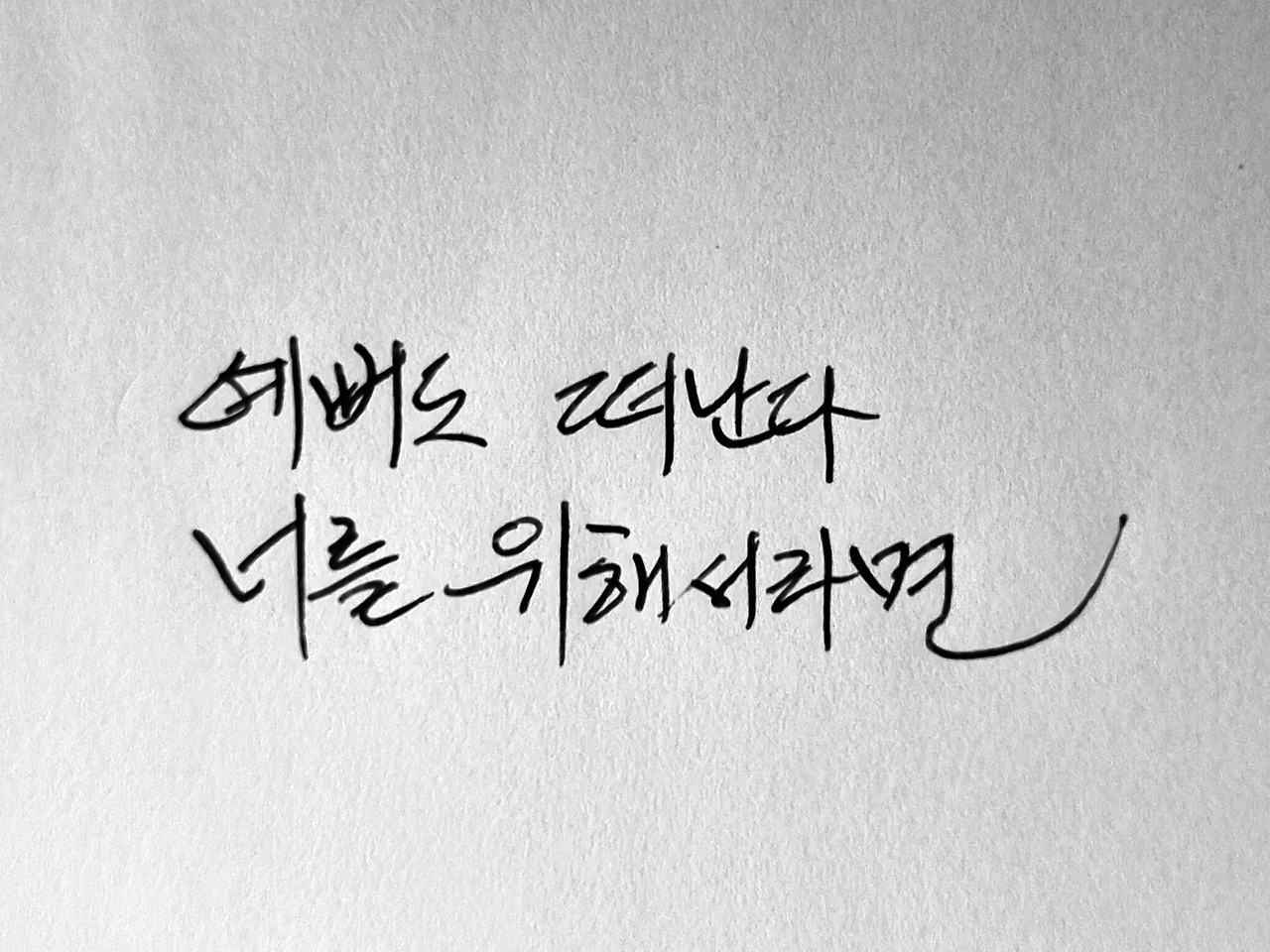감자꽃