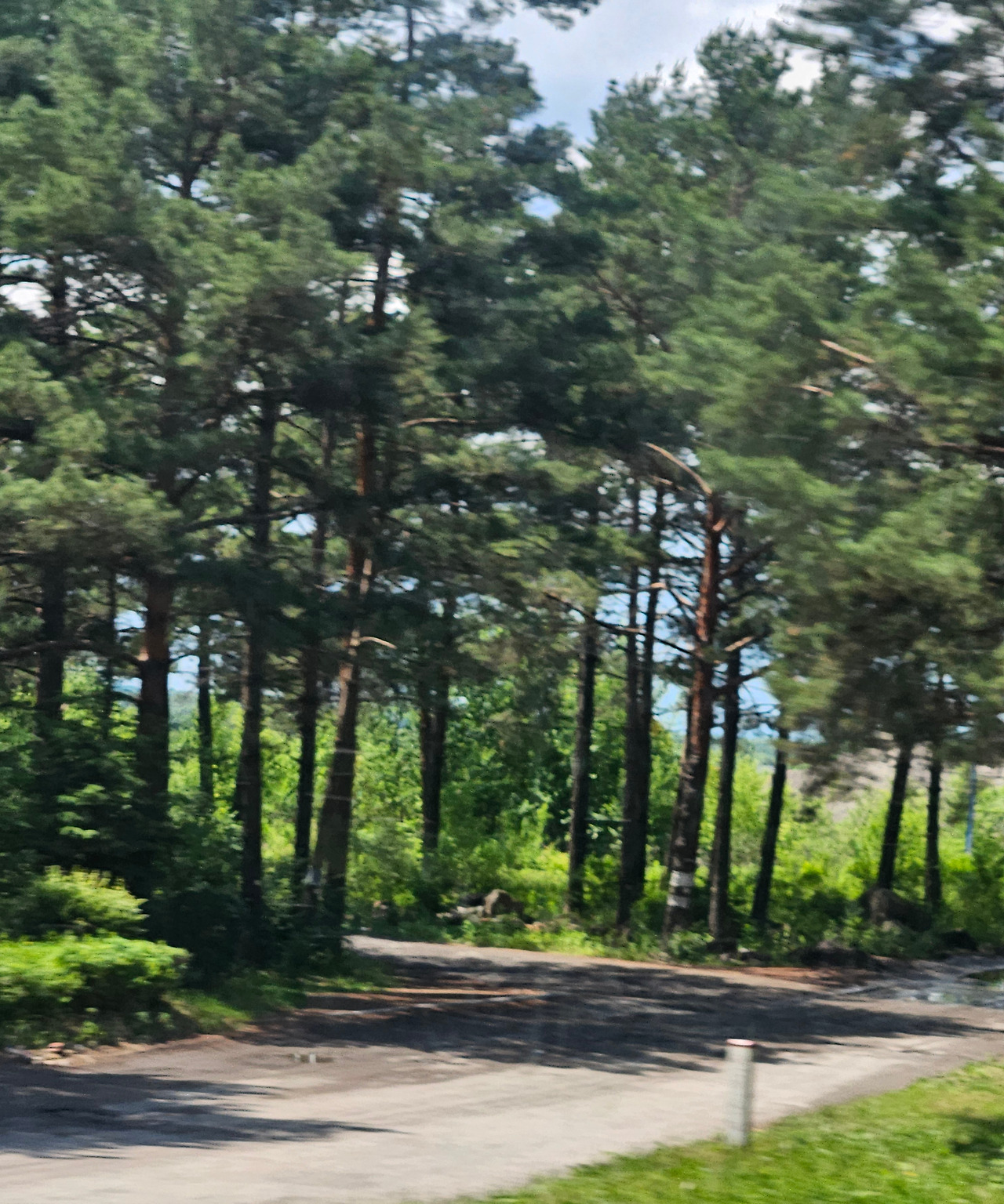 2024연꽃생일 (6).jpg