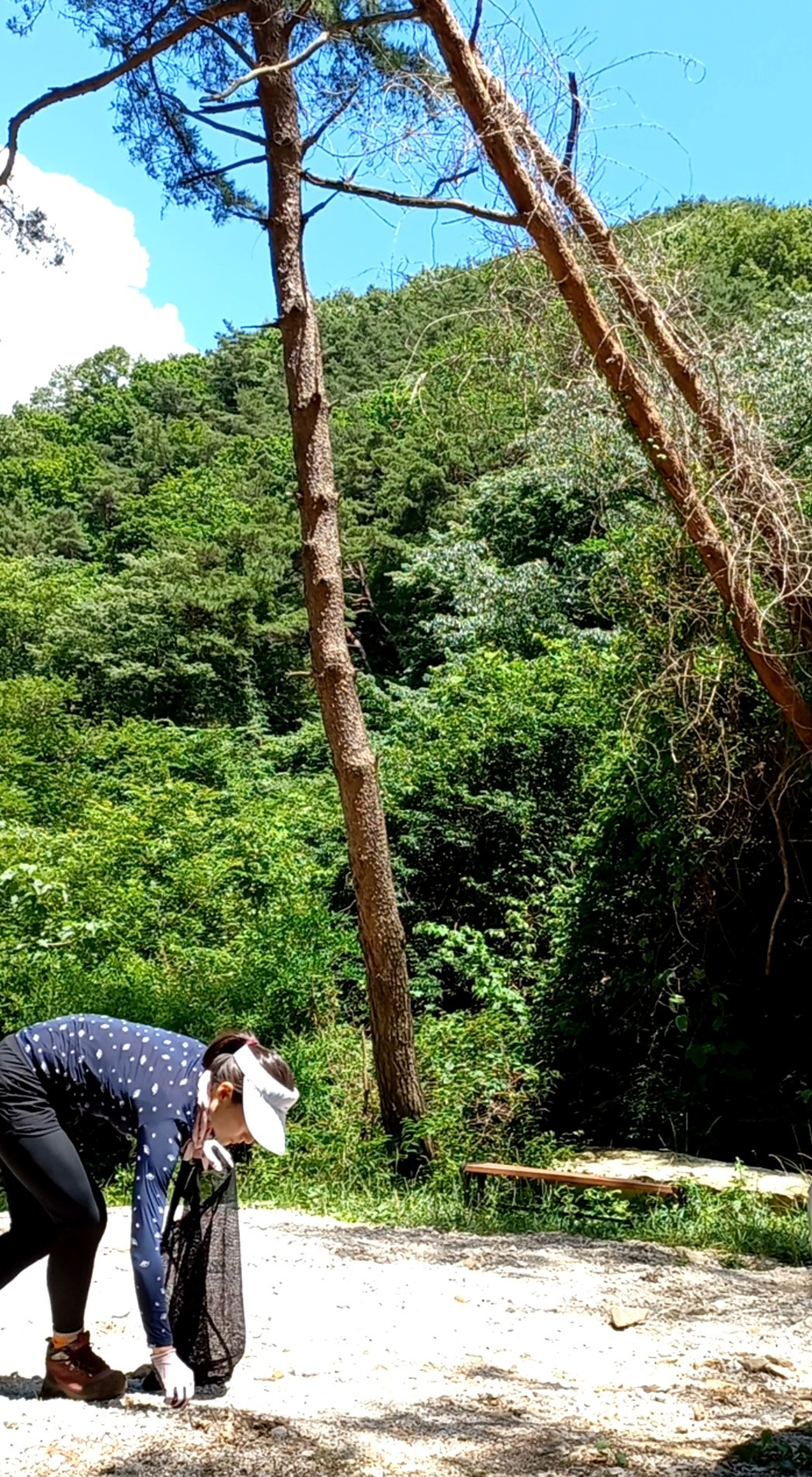 그린 챌린지_02.jpg