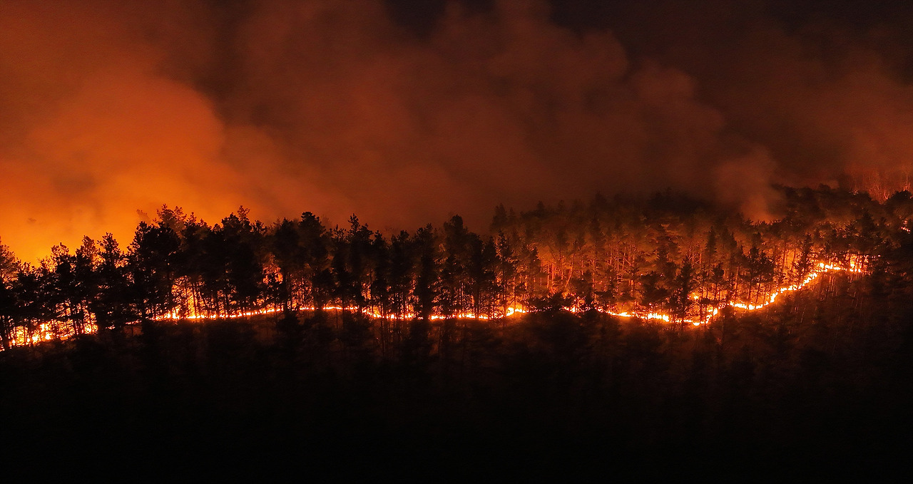 산불.jpg