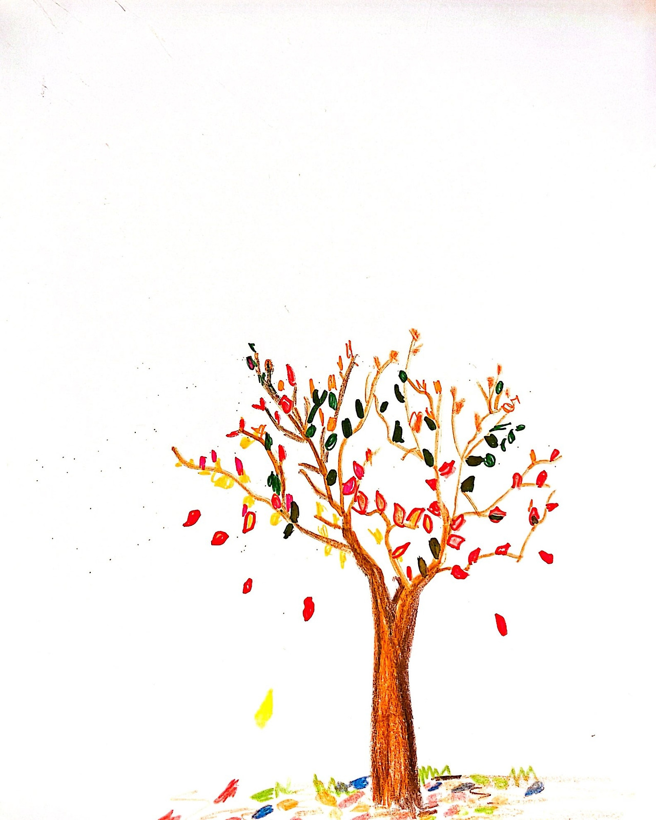 CamScanner 2024-09-25 05.22_5.jpg