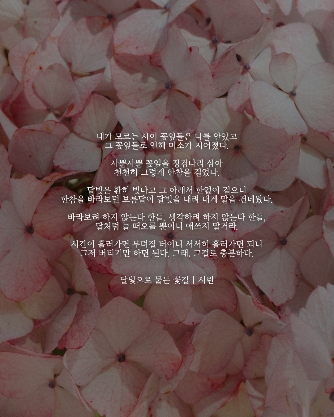 달빛으로 물든 꽃길.jpg