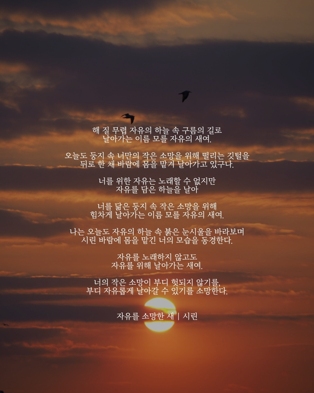 자유를 소망한 새.jpg