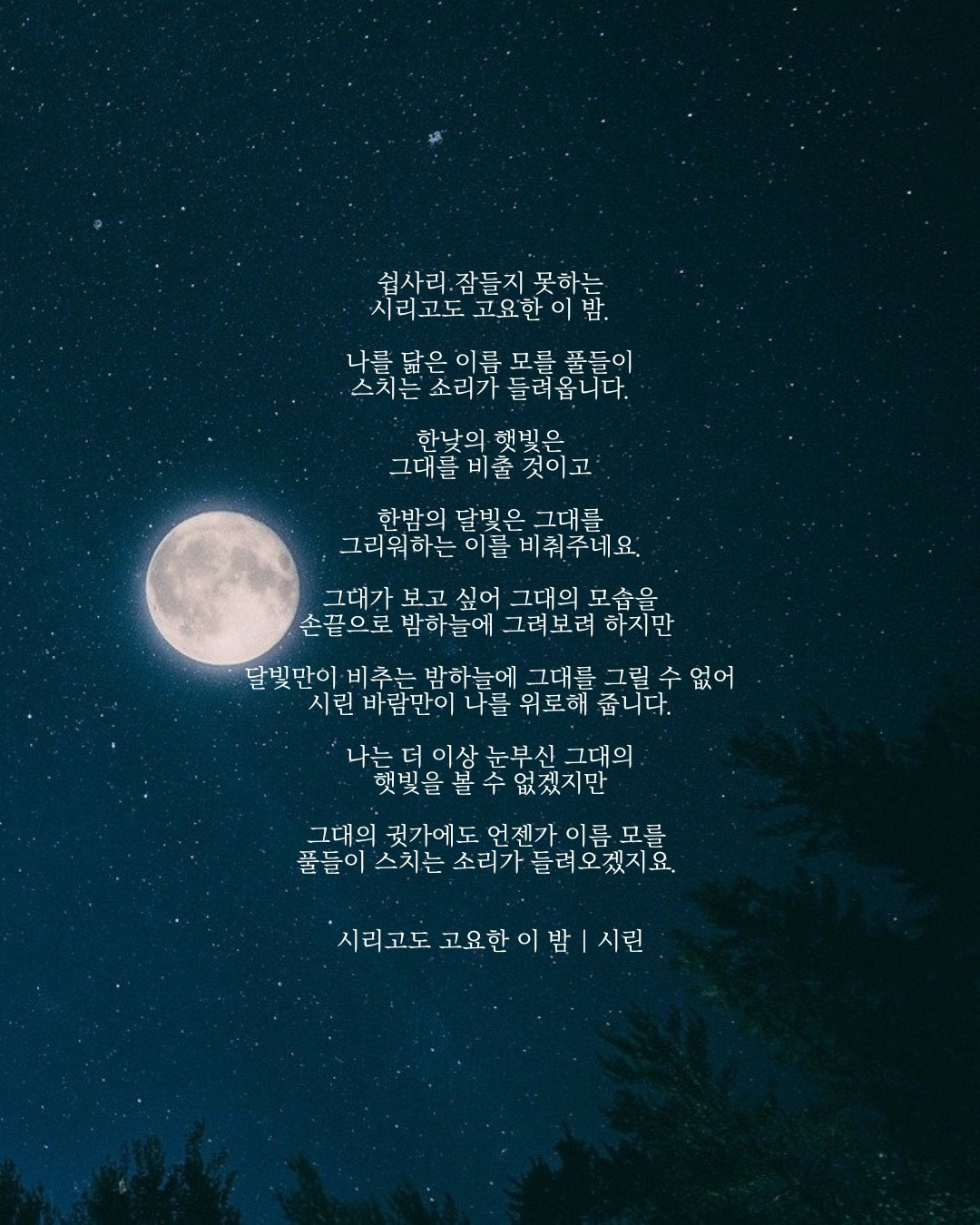 시리고도 고요한 이 밤.jpg