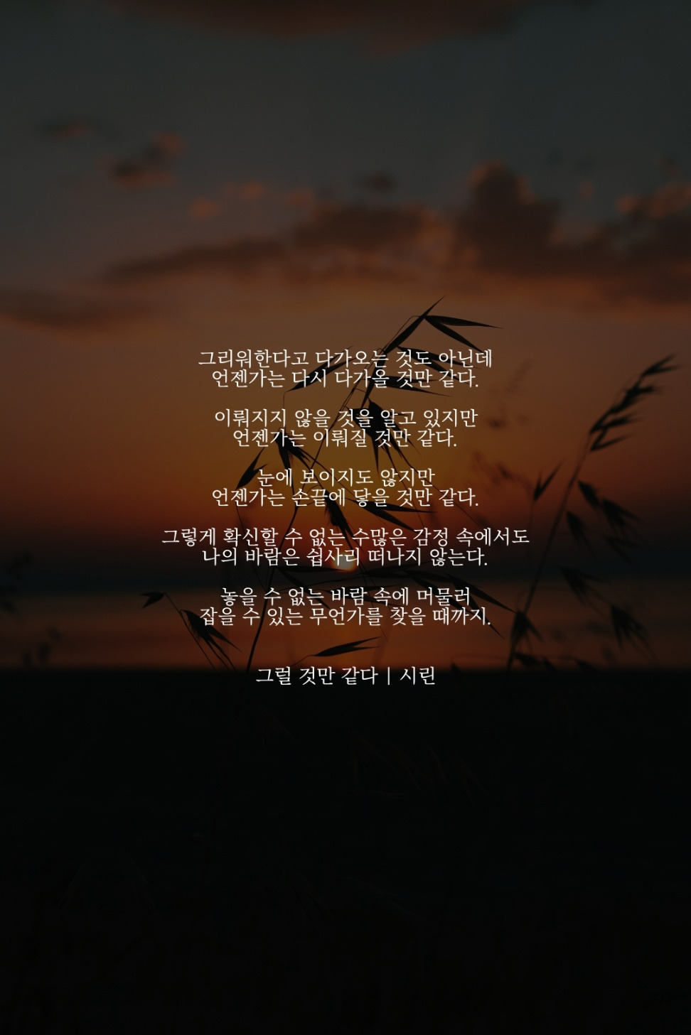 그럴 것만 같다.jpg