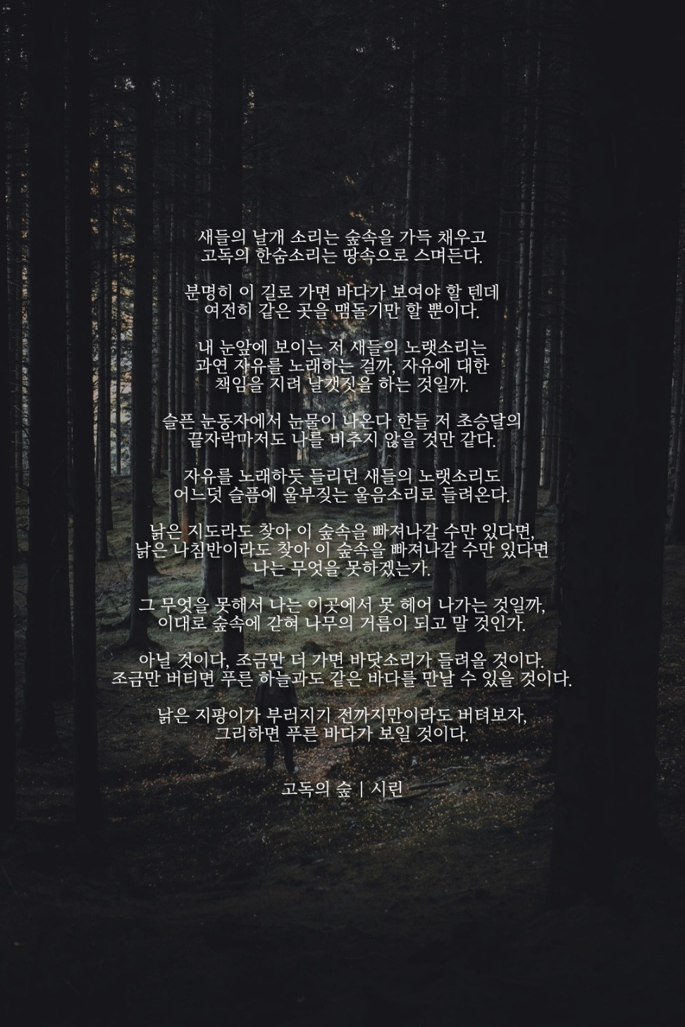 고독의 숲.jpg